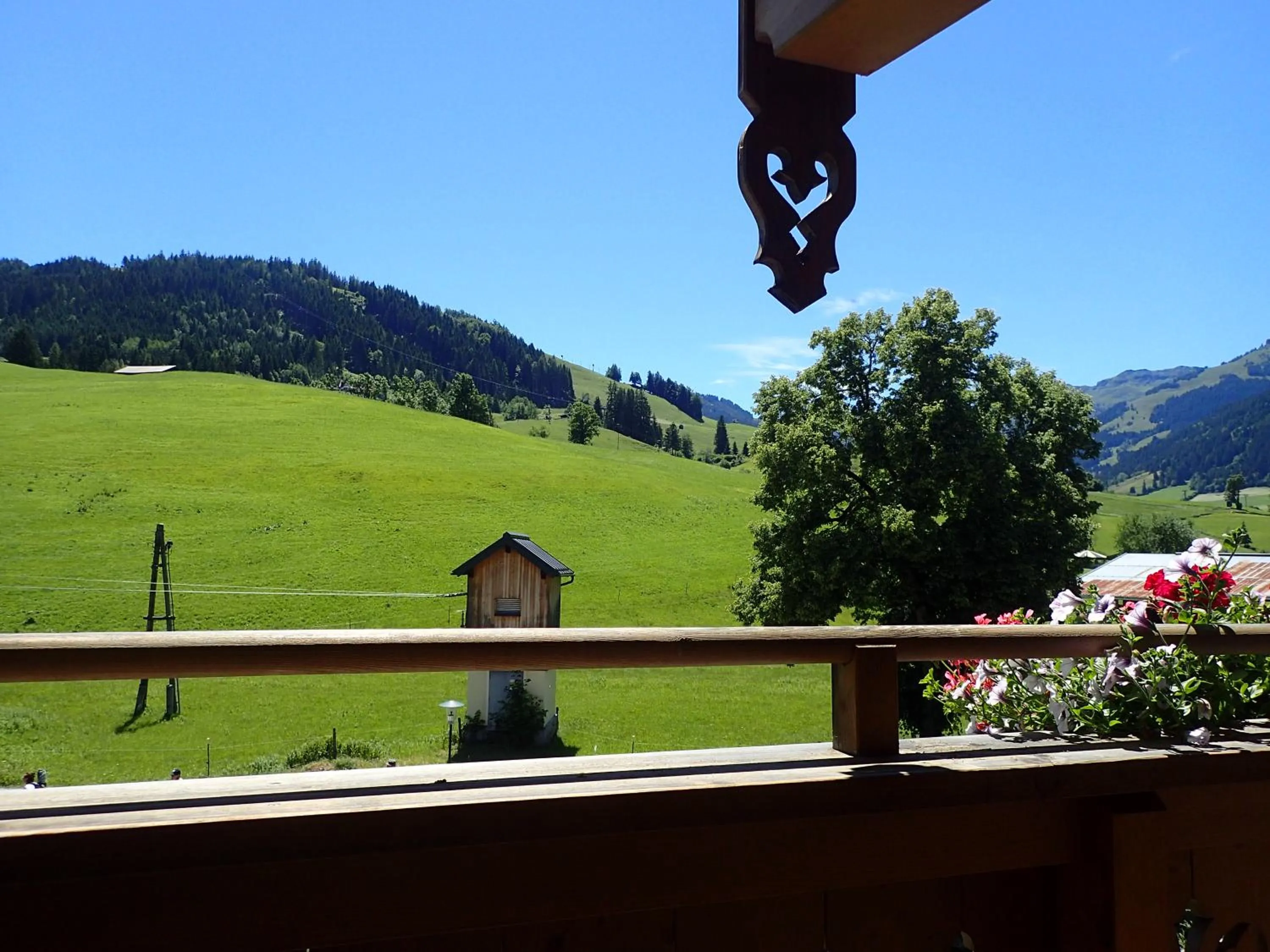 Mountain view in Hotel Sonnenlicht Maria Alm