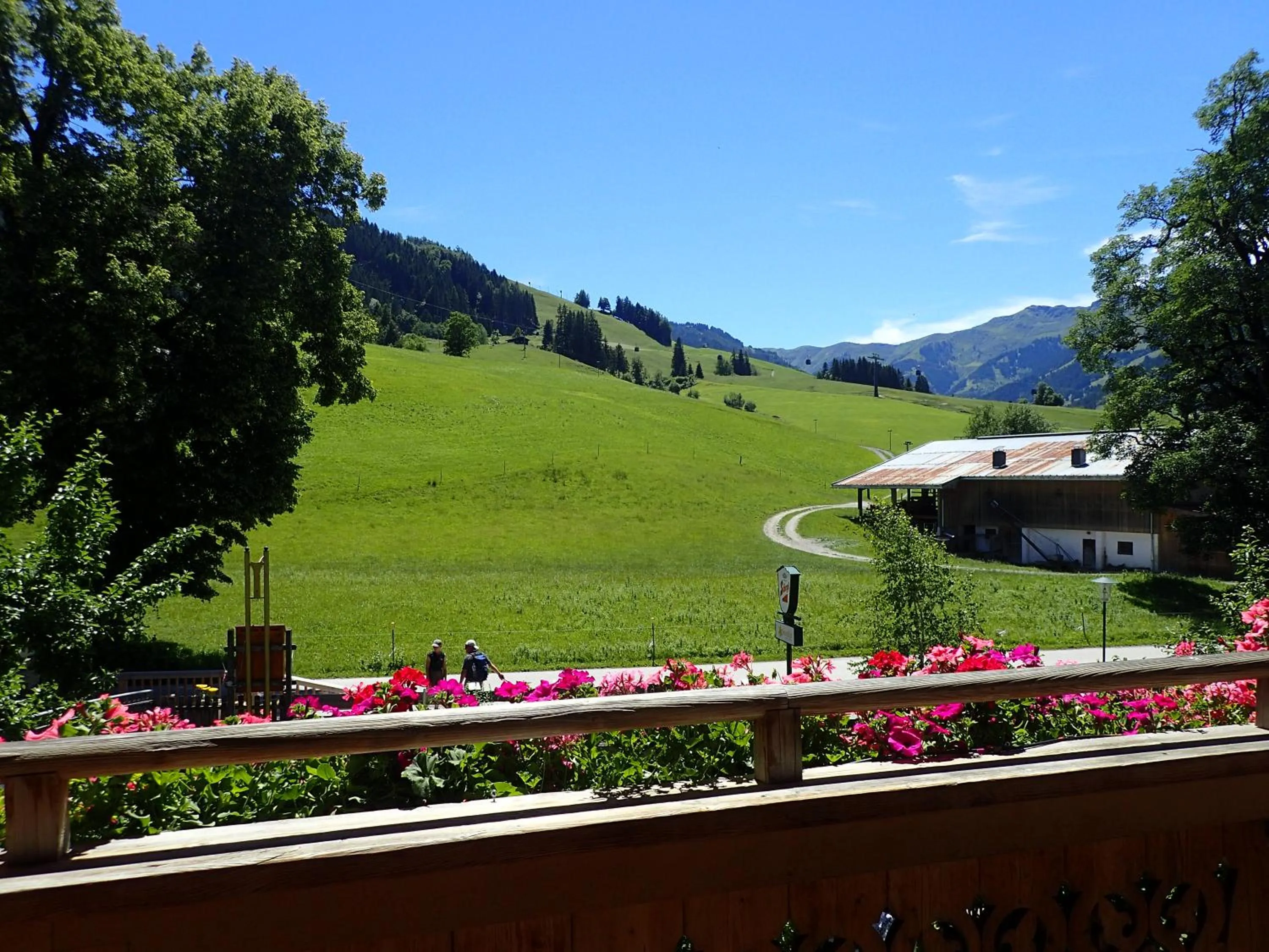Mountain view in Hotel Sonnenlicht Maria Alm