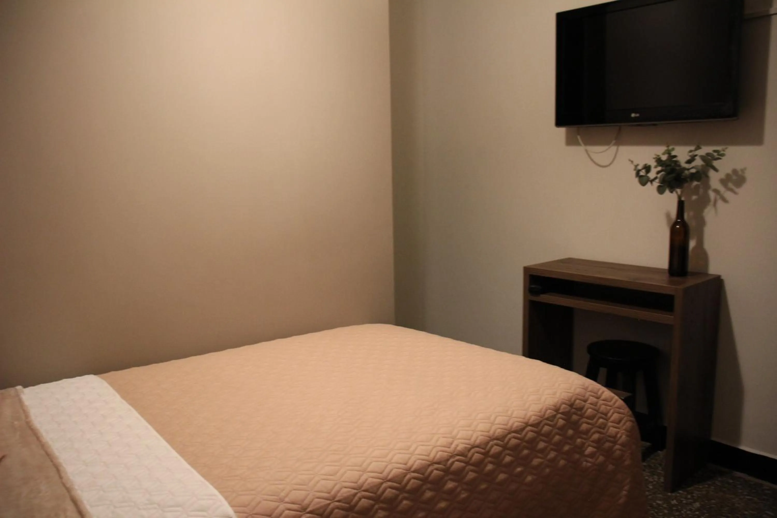 Single Room in Hotel Plaza El Santuario