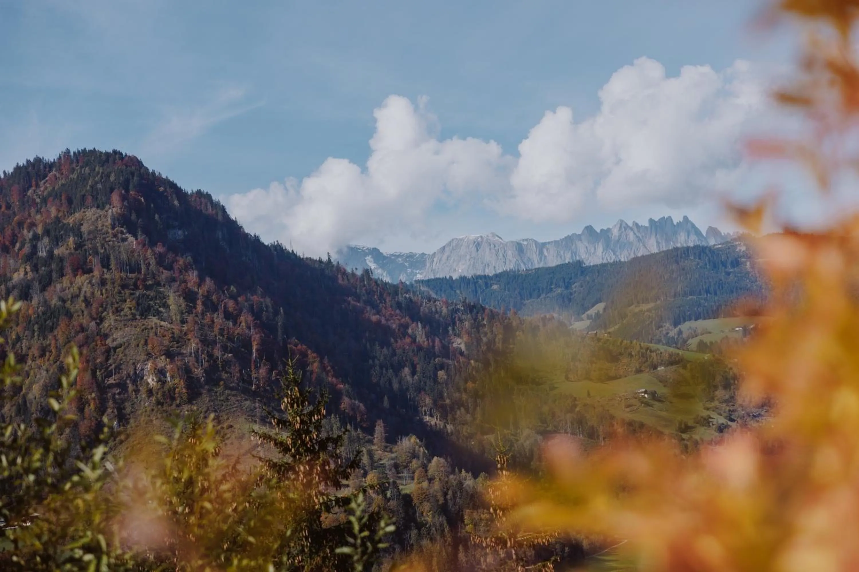 Mountain View in Verwöhnhotel Berghof