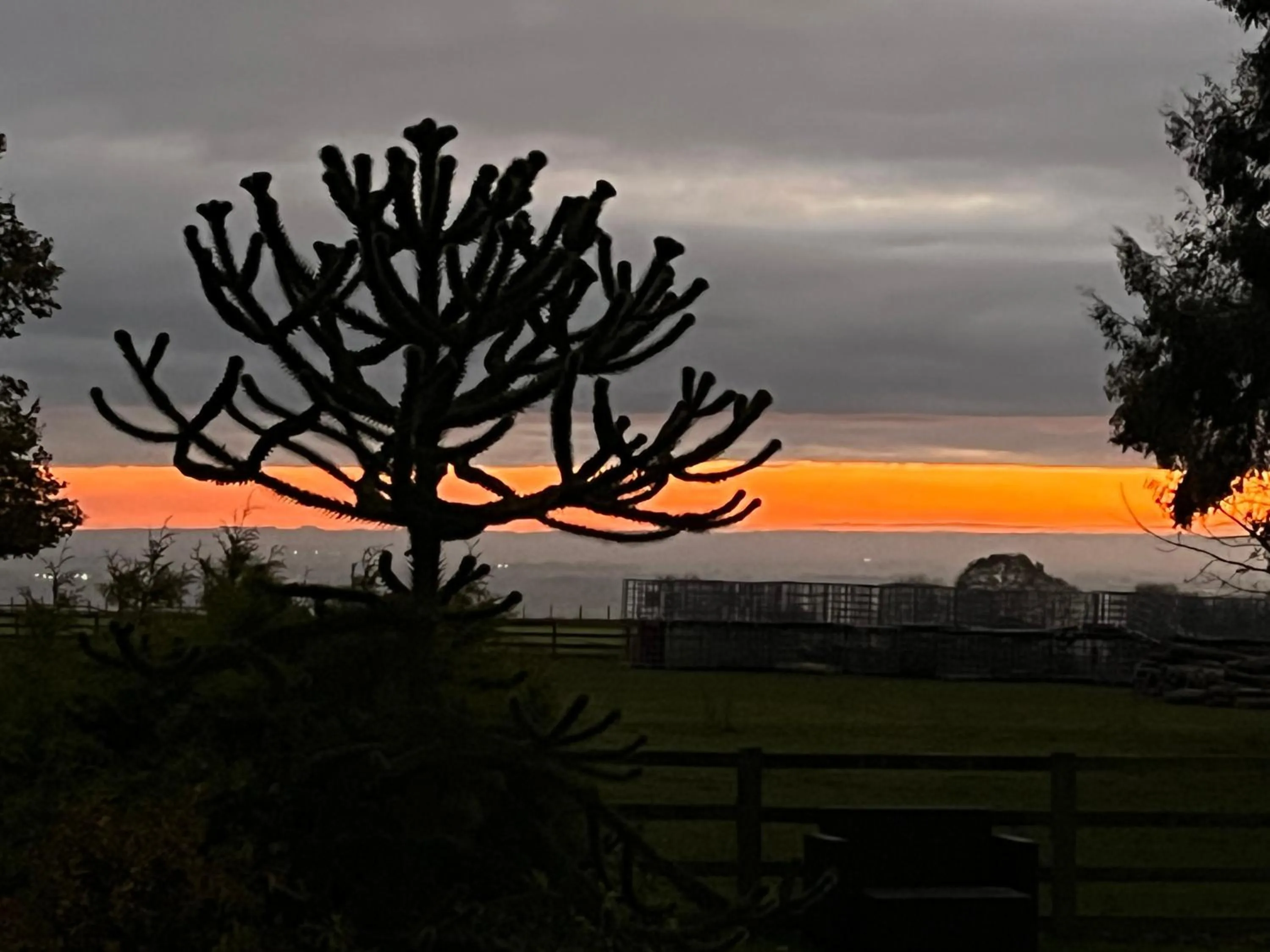 Natural landscape in Cottage Lea's Country Hotel & Restaurant