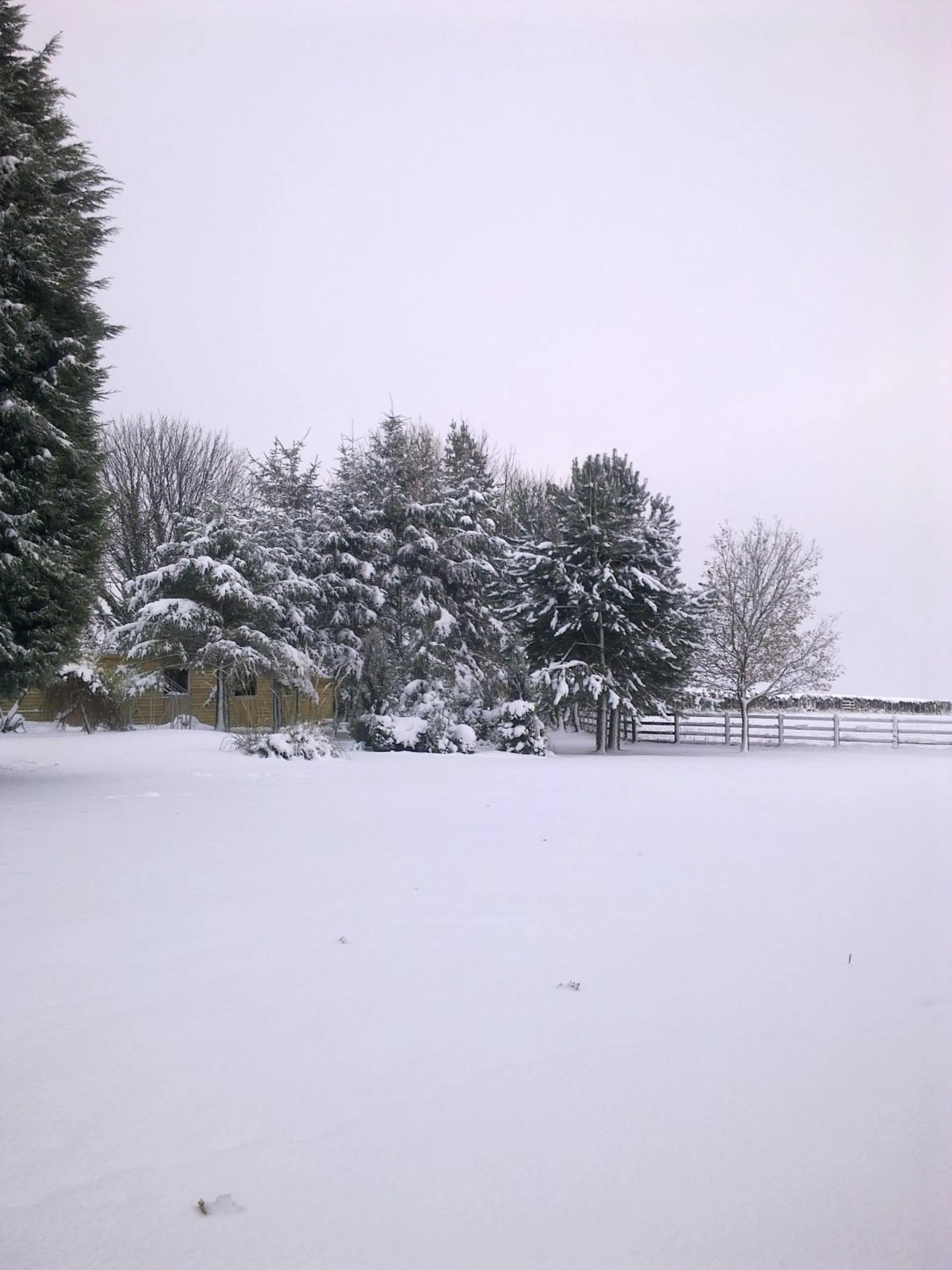 Winter in Cottage Lea's Country Hotel & Restaurant