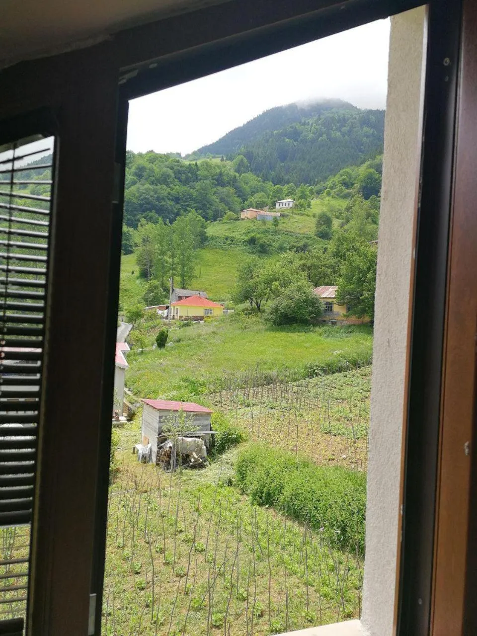 Mountain view in Hamsikoy Hotel