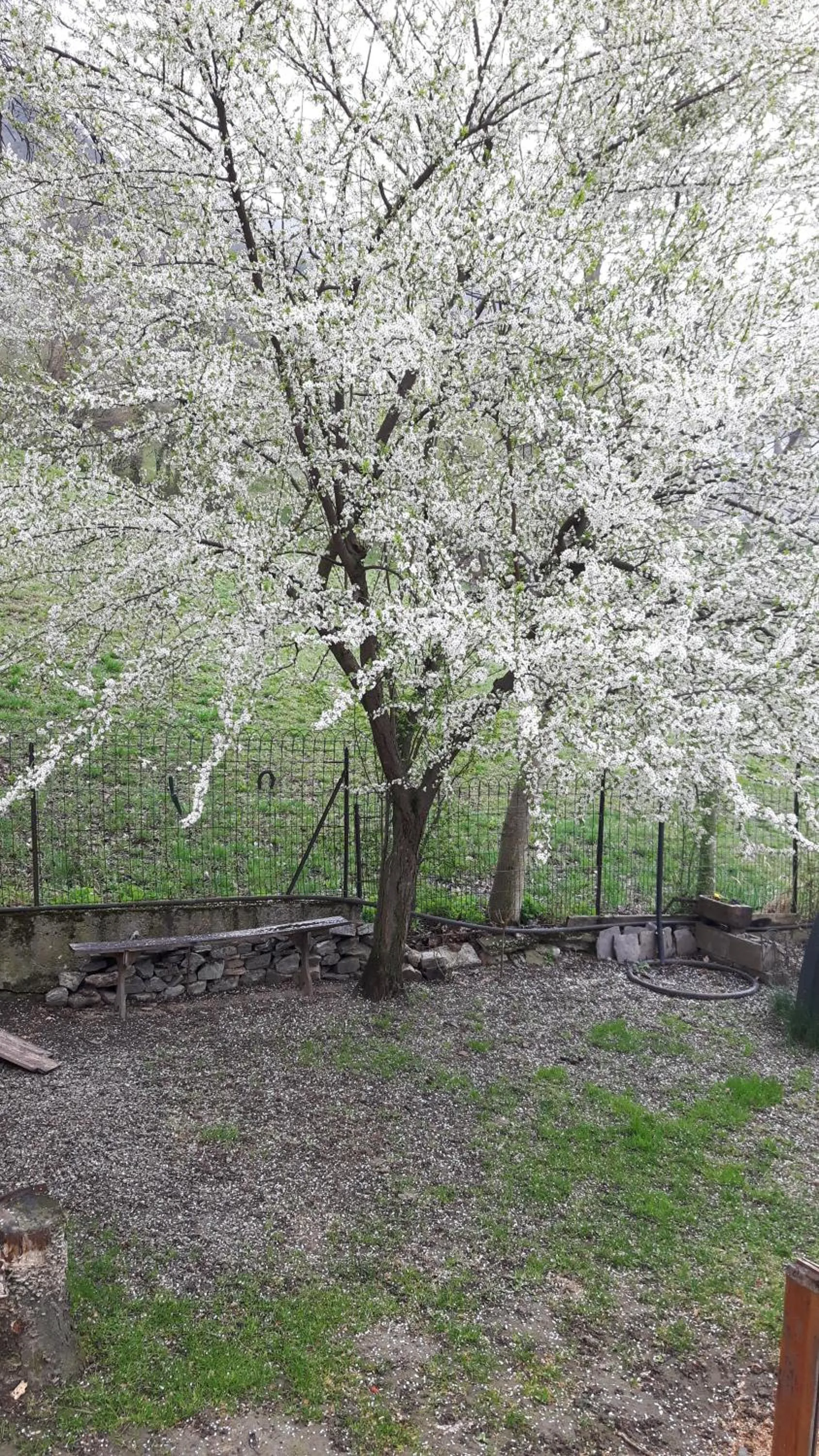 Inner courtyard view in La locanda del Mulino