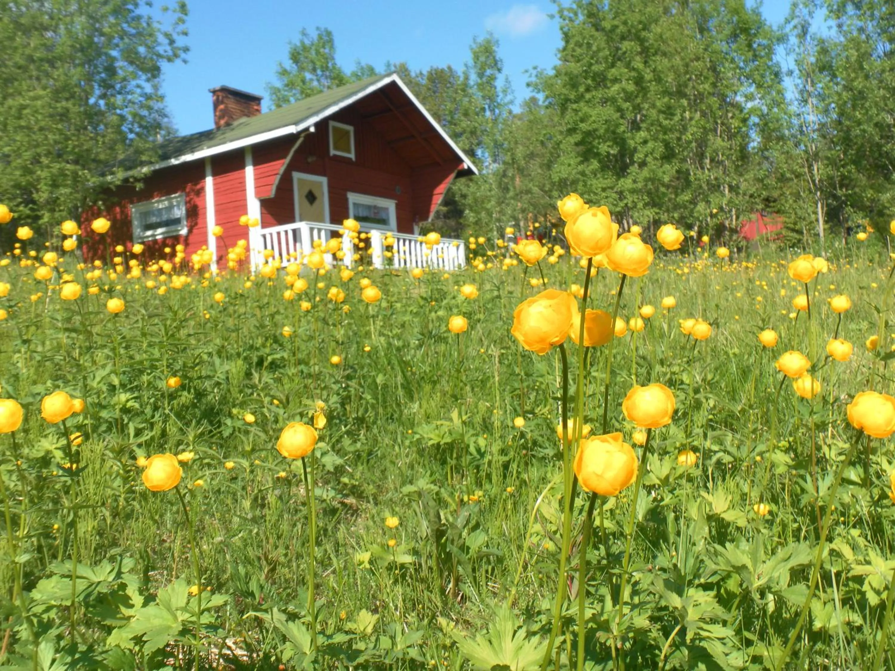 Property building in Hotel Hetan Majatalo