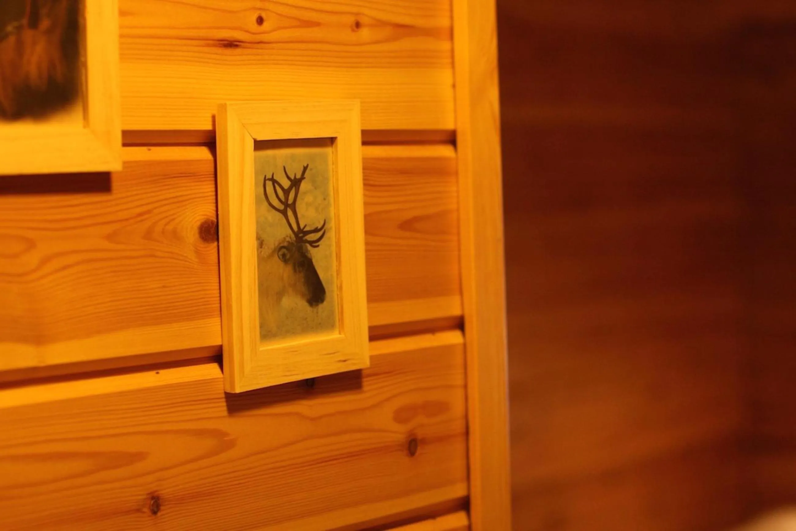 Decorative detail in Hotel Hetan Majatalo