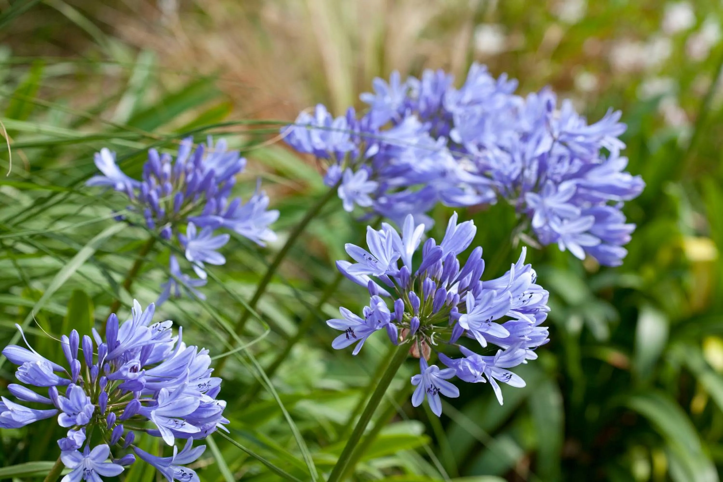 Facade/entrance in Le Village Cancalais