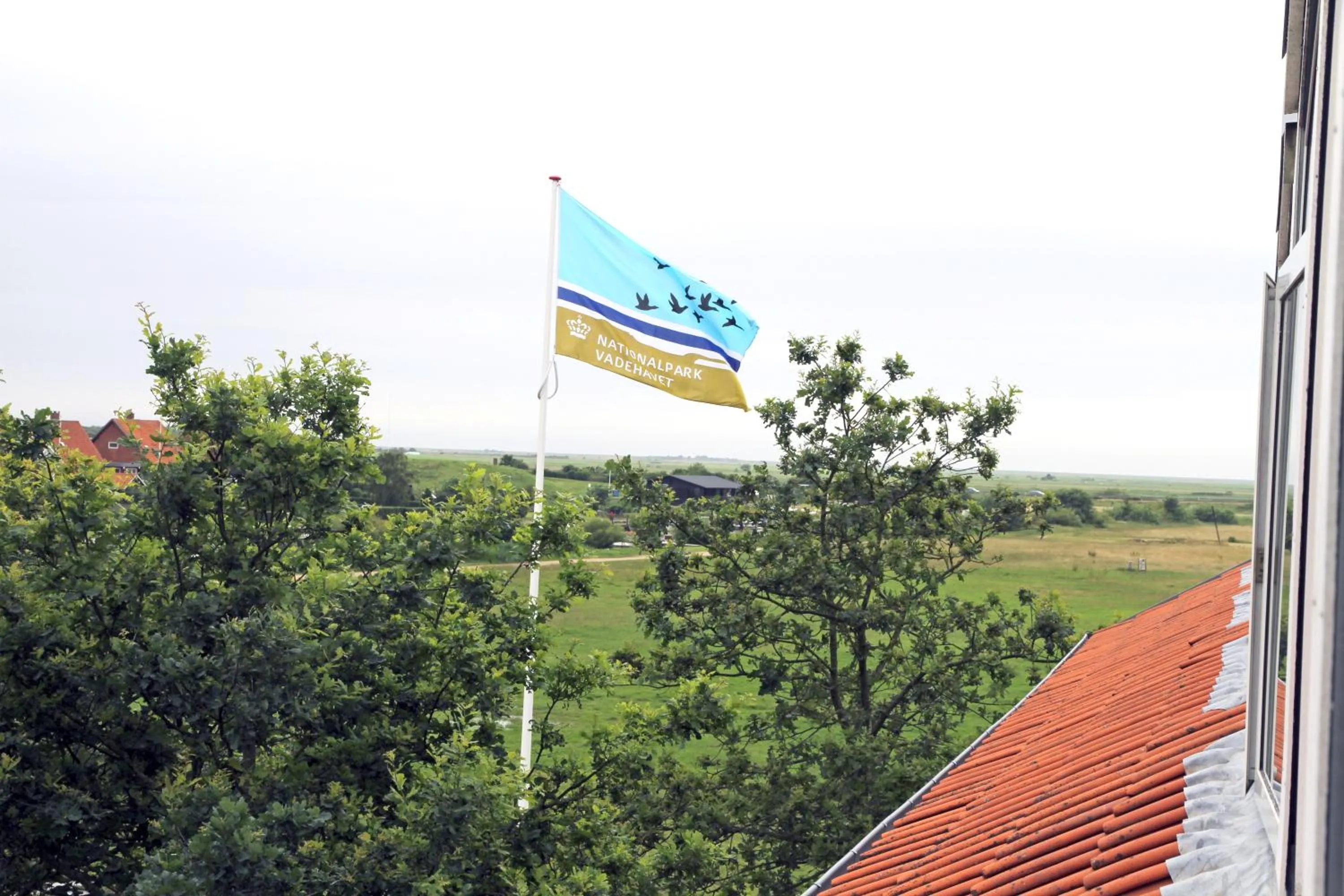 Day in Danhostel Ribe