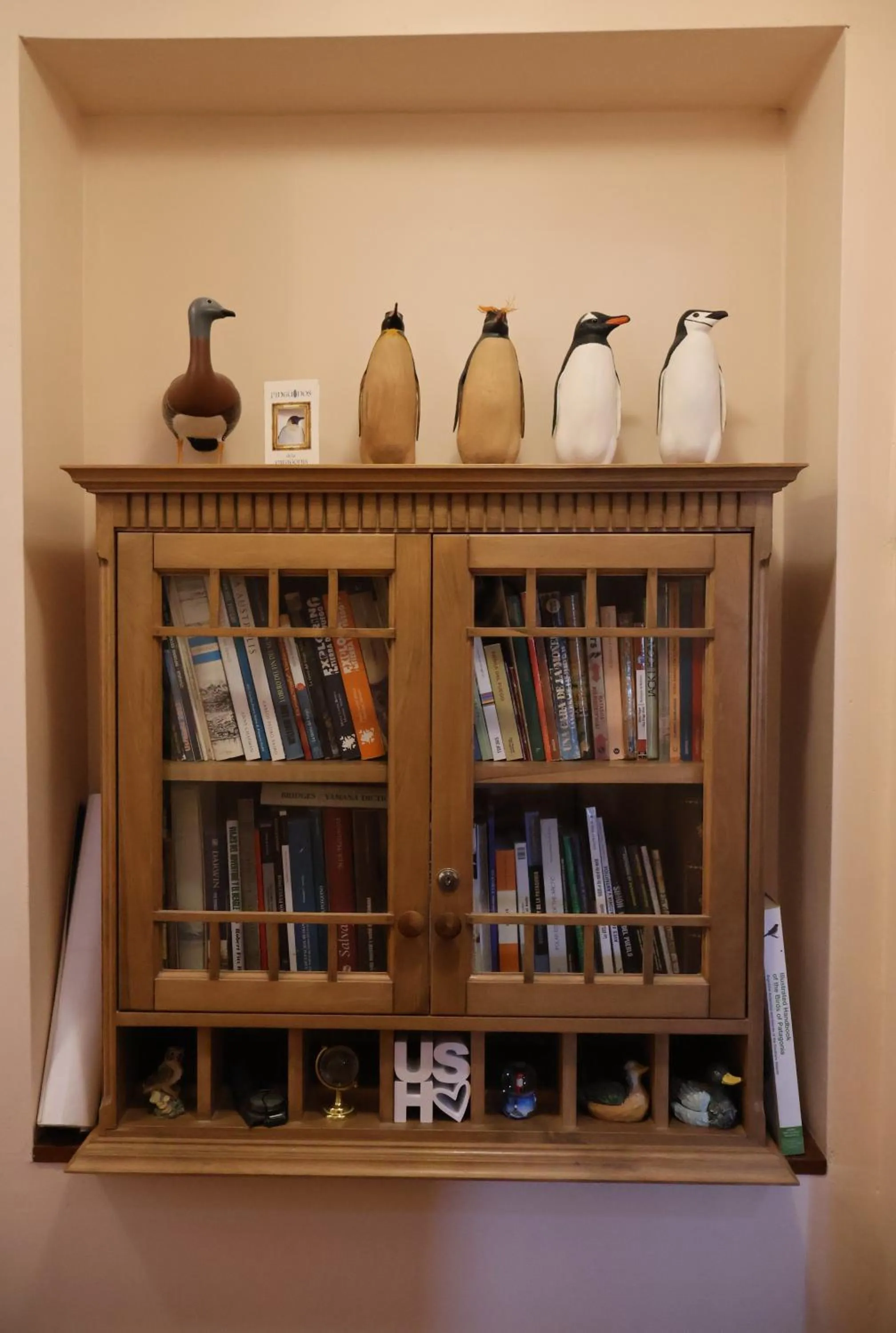 Library in Valle Frío Ushuaia