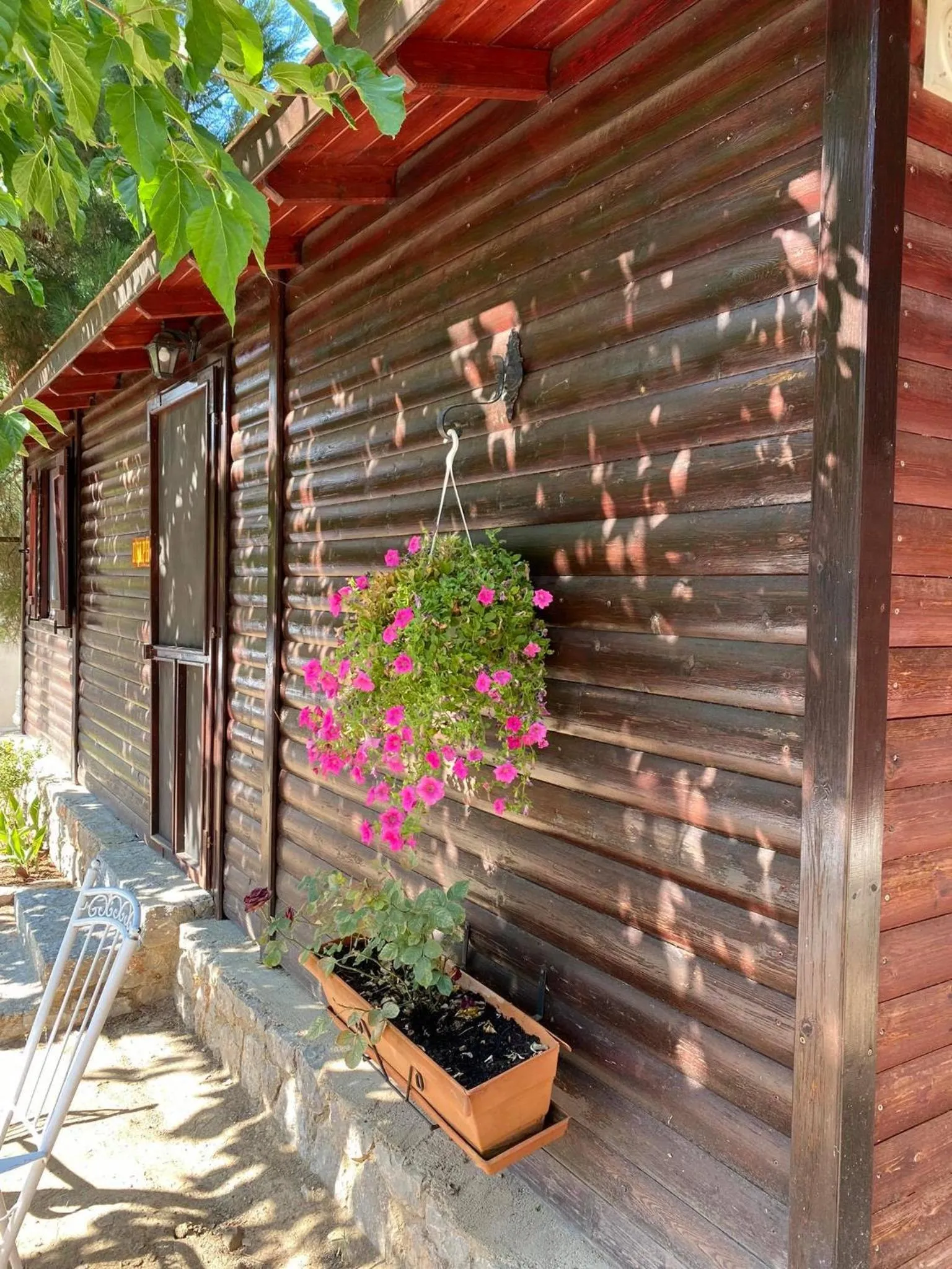 Patio in Bungalow - Camping Apollon