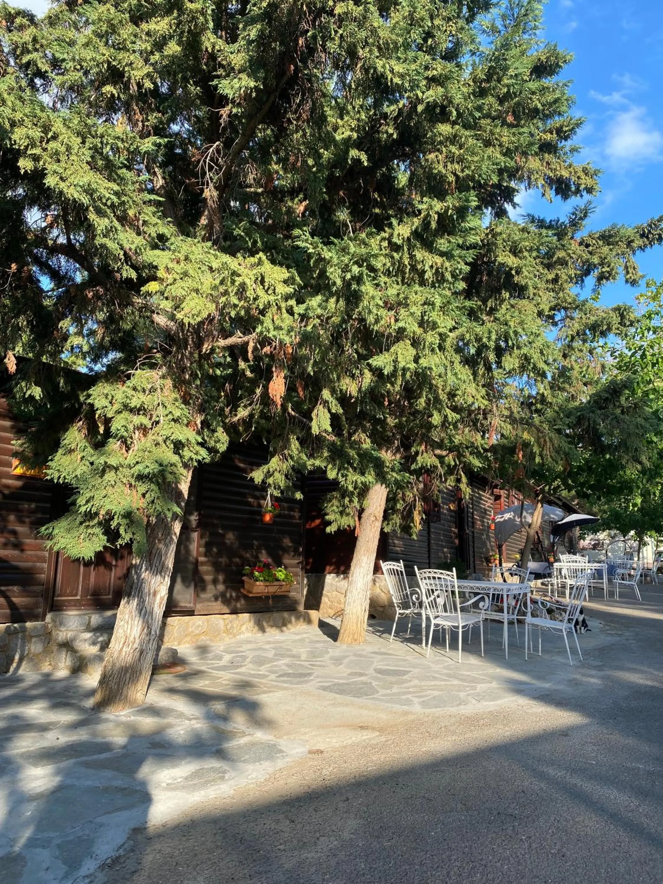 Property building in Bungalow - Camping Apollon