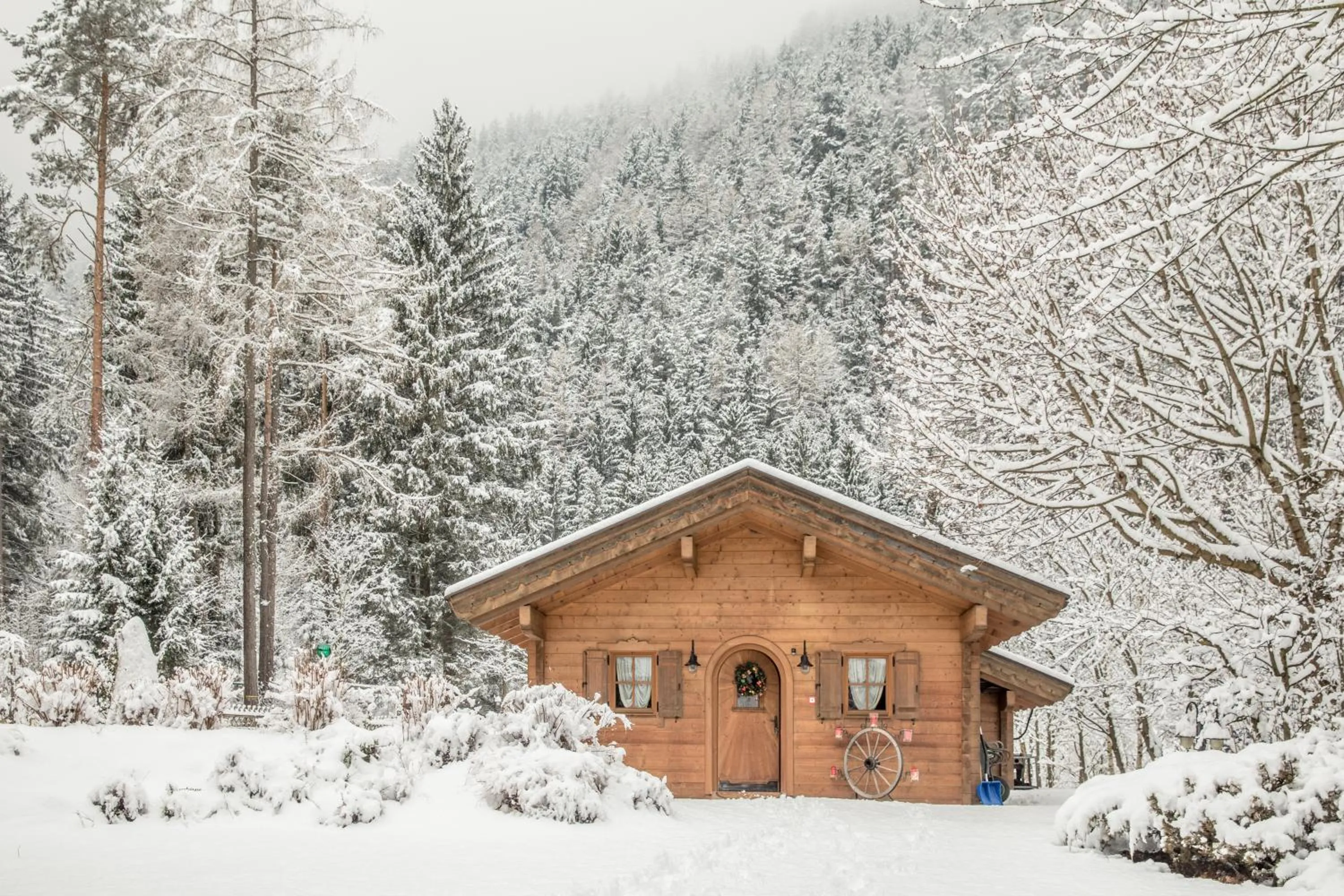 Garden in Hotel Burgfrieden