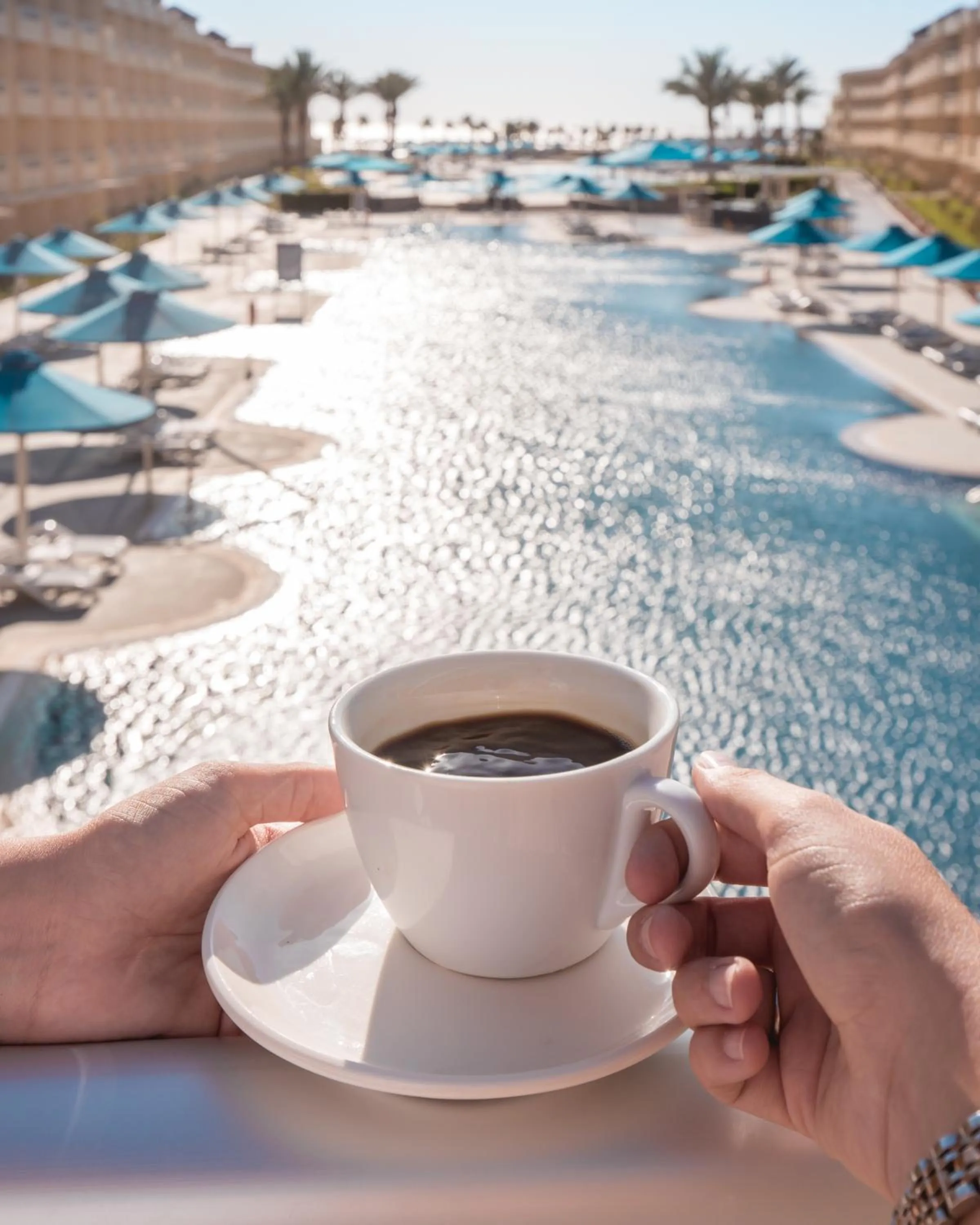 Food and drinks in Amwaj Beach Club Abu Soma