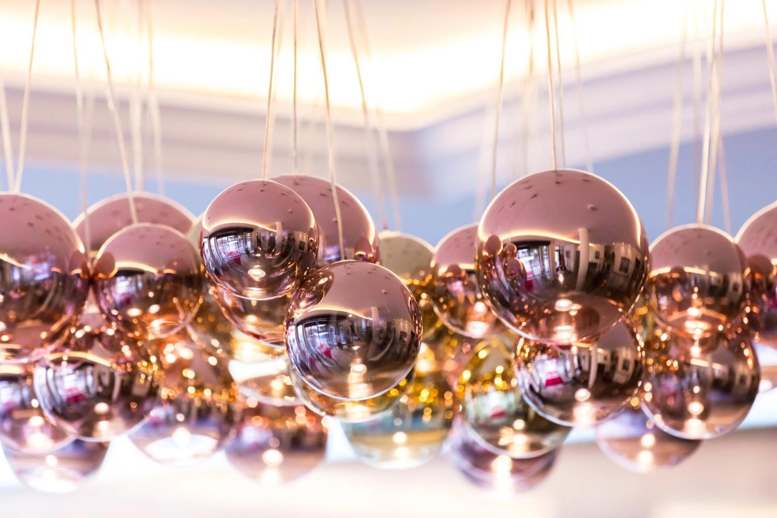 Lobby or reception in Hotel Garden