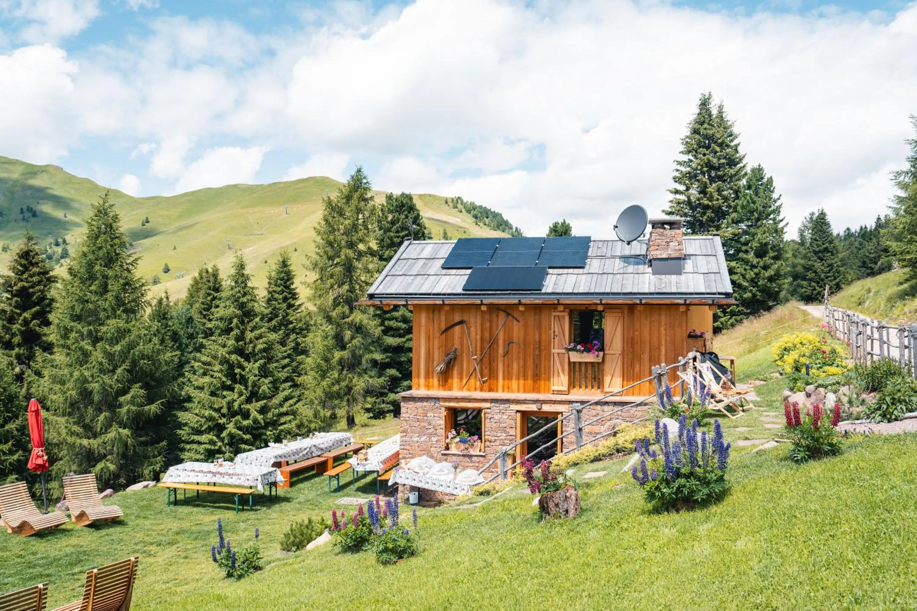 Summer in Hotel Garden