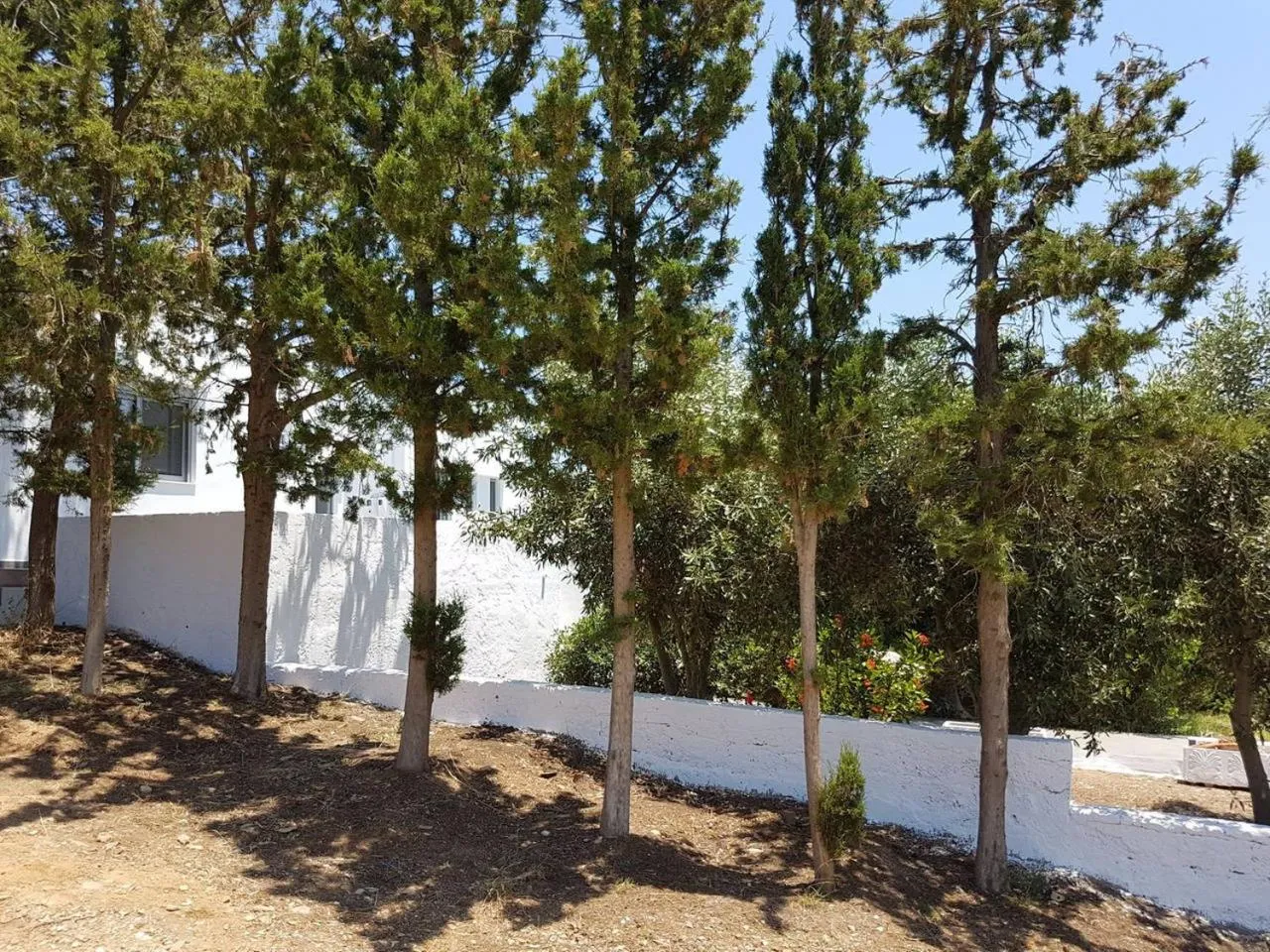 Natural landscape in Villa Emilia - with private, heated swimming pool