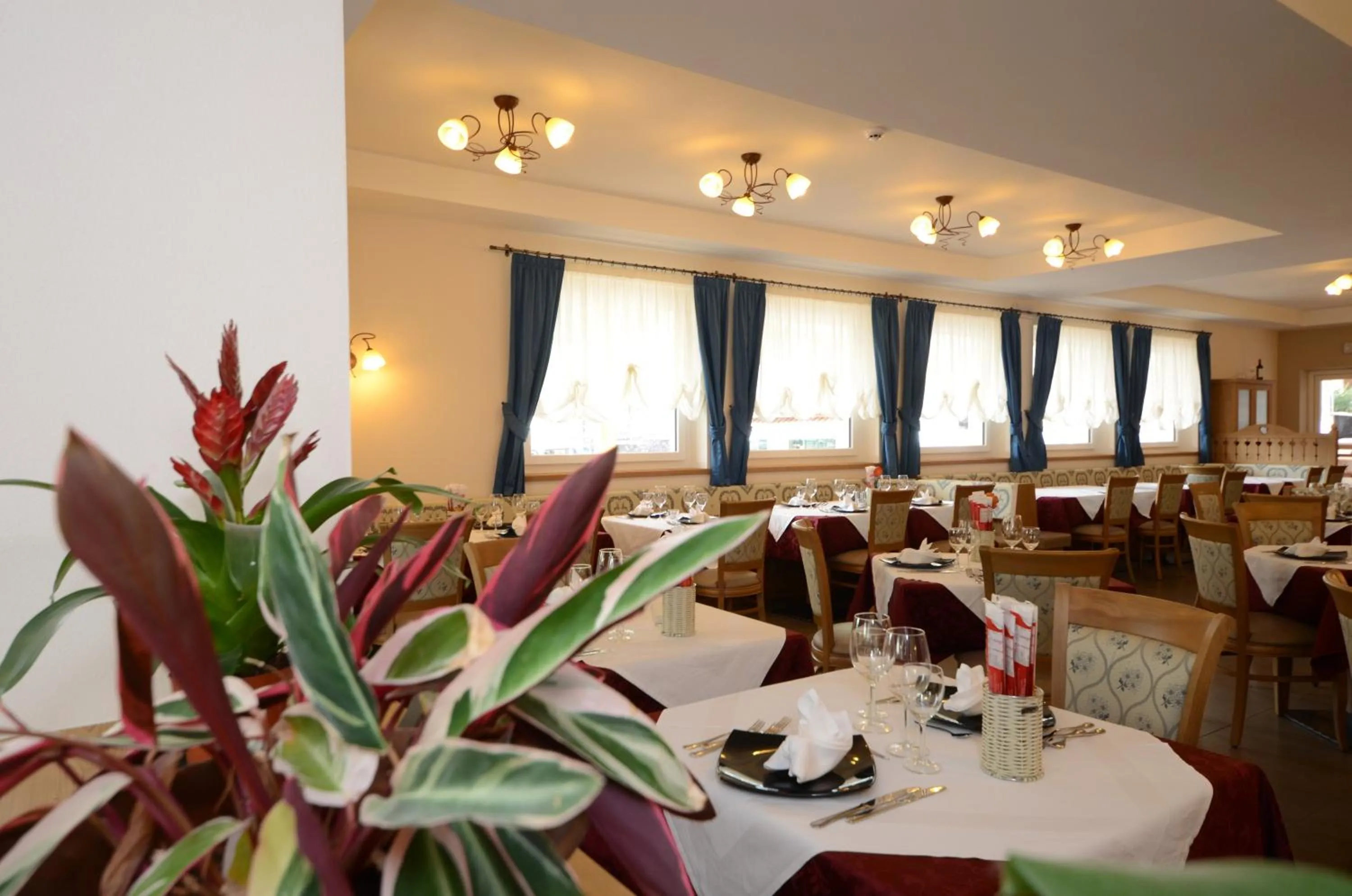 Restaurant/places to eat in Park Hotel Avisio