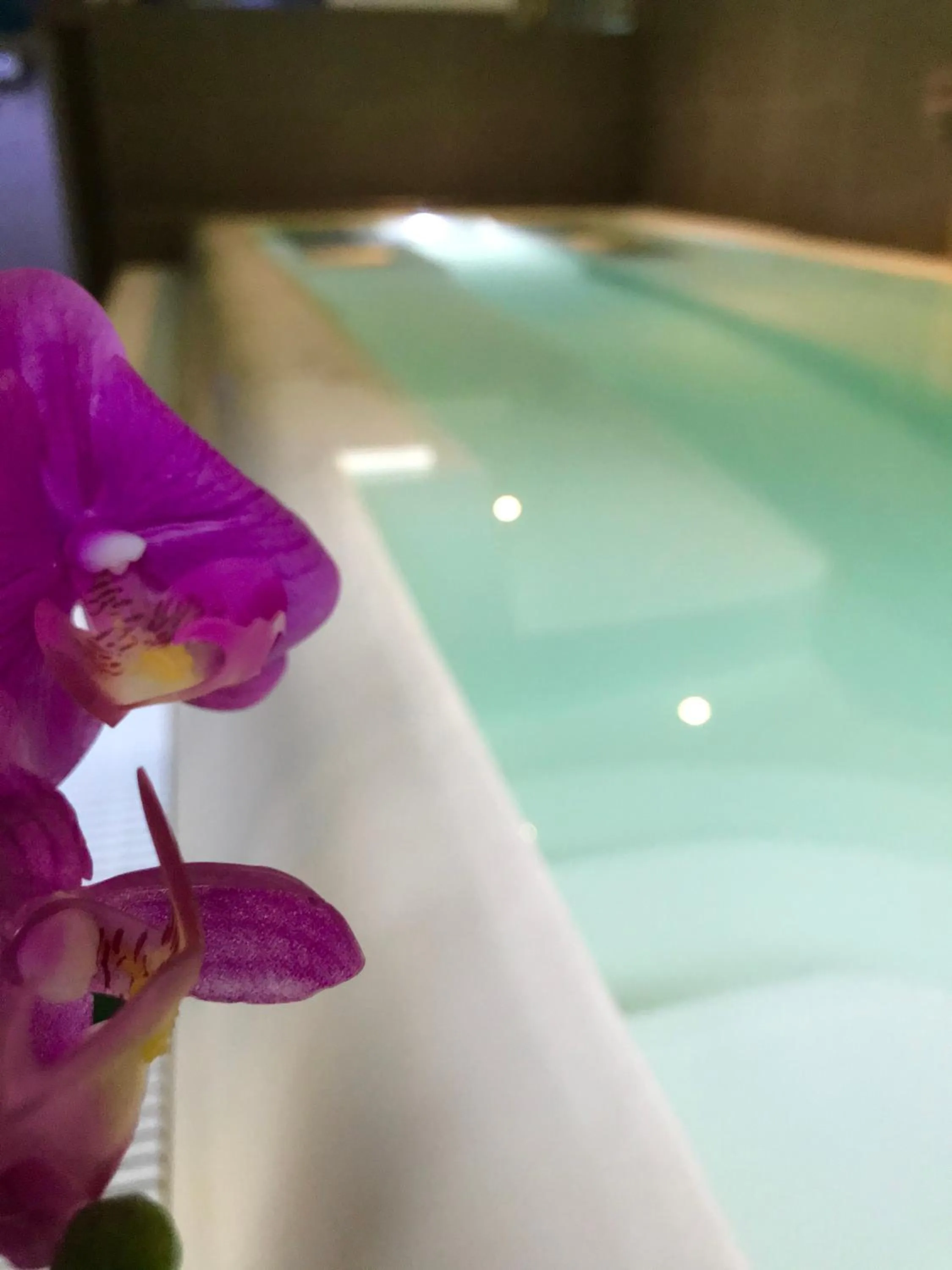 Swimming pool in Park Hotel Avisio