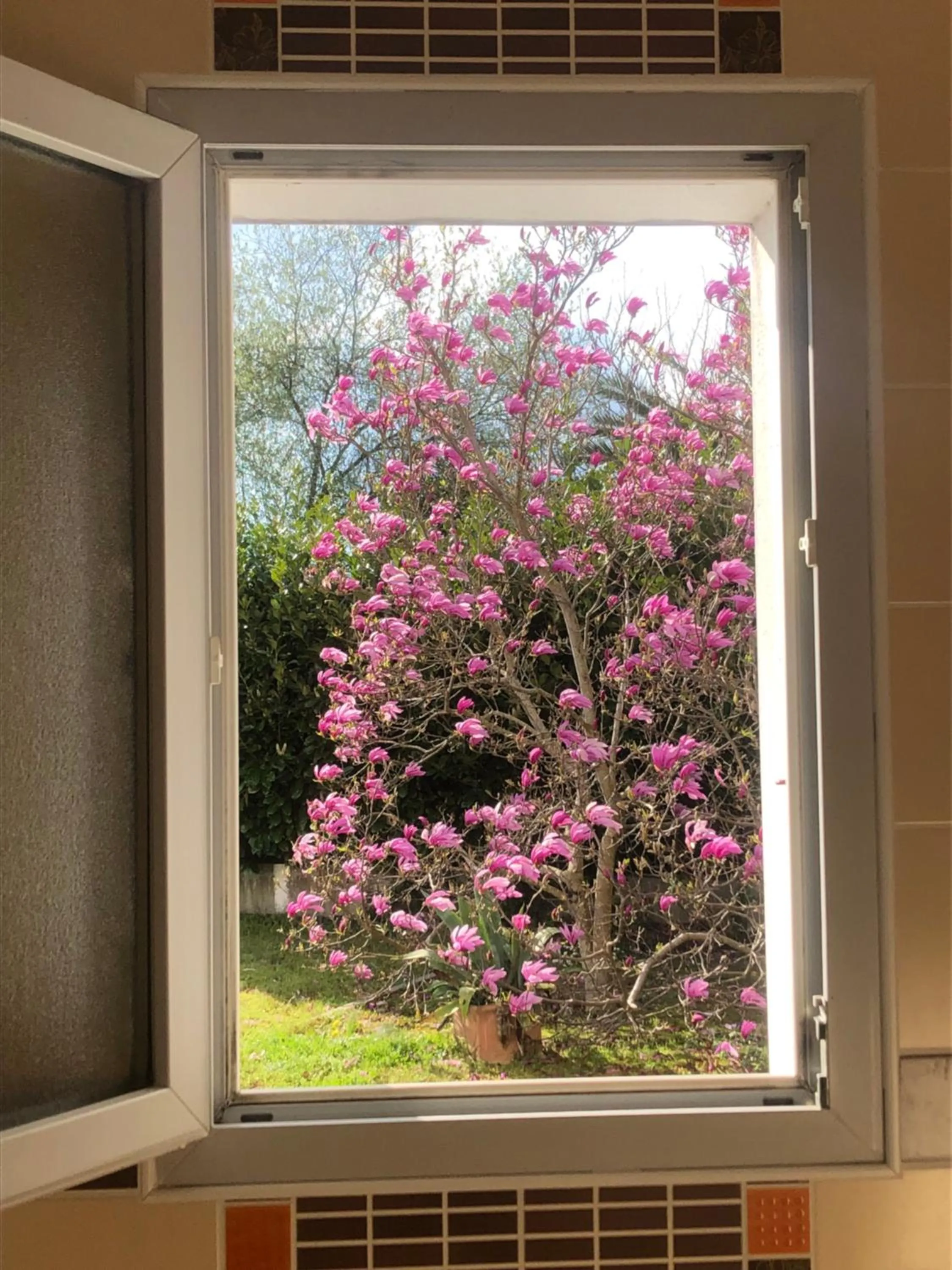 Garden view in Hôtel Ursula