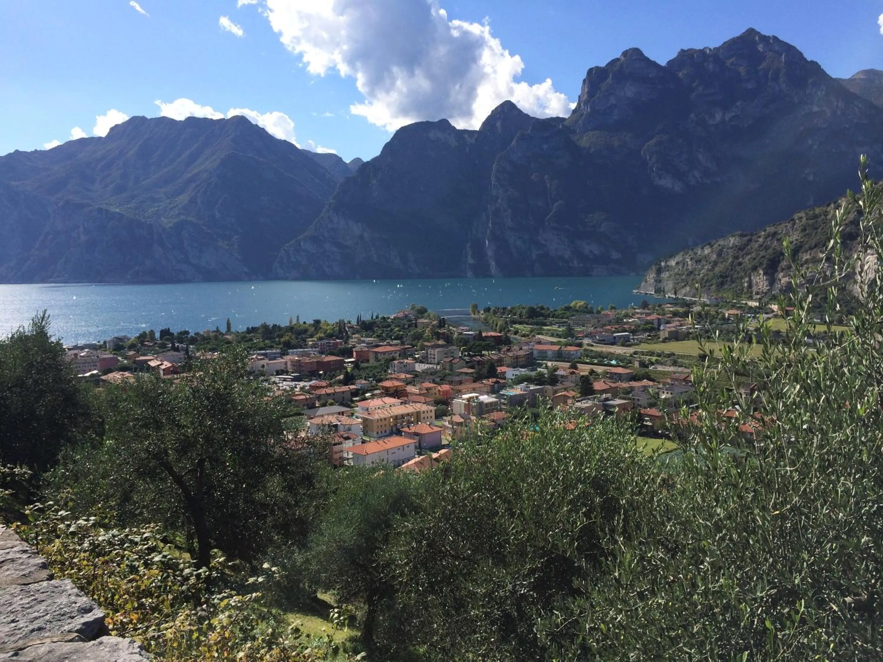 Bird's eye view in Hotel Villa Rosa