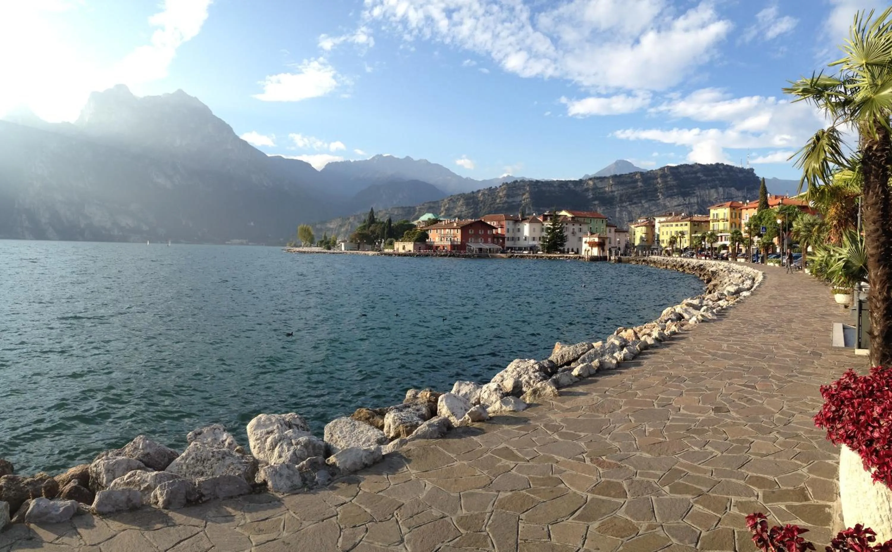 Area and facilities in Hotel Villa Rosa