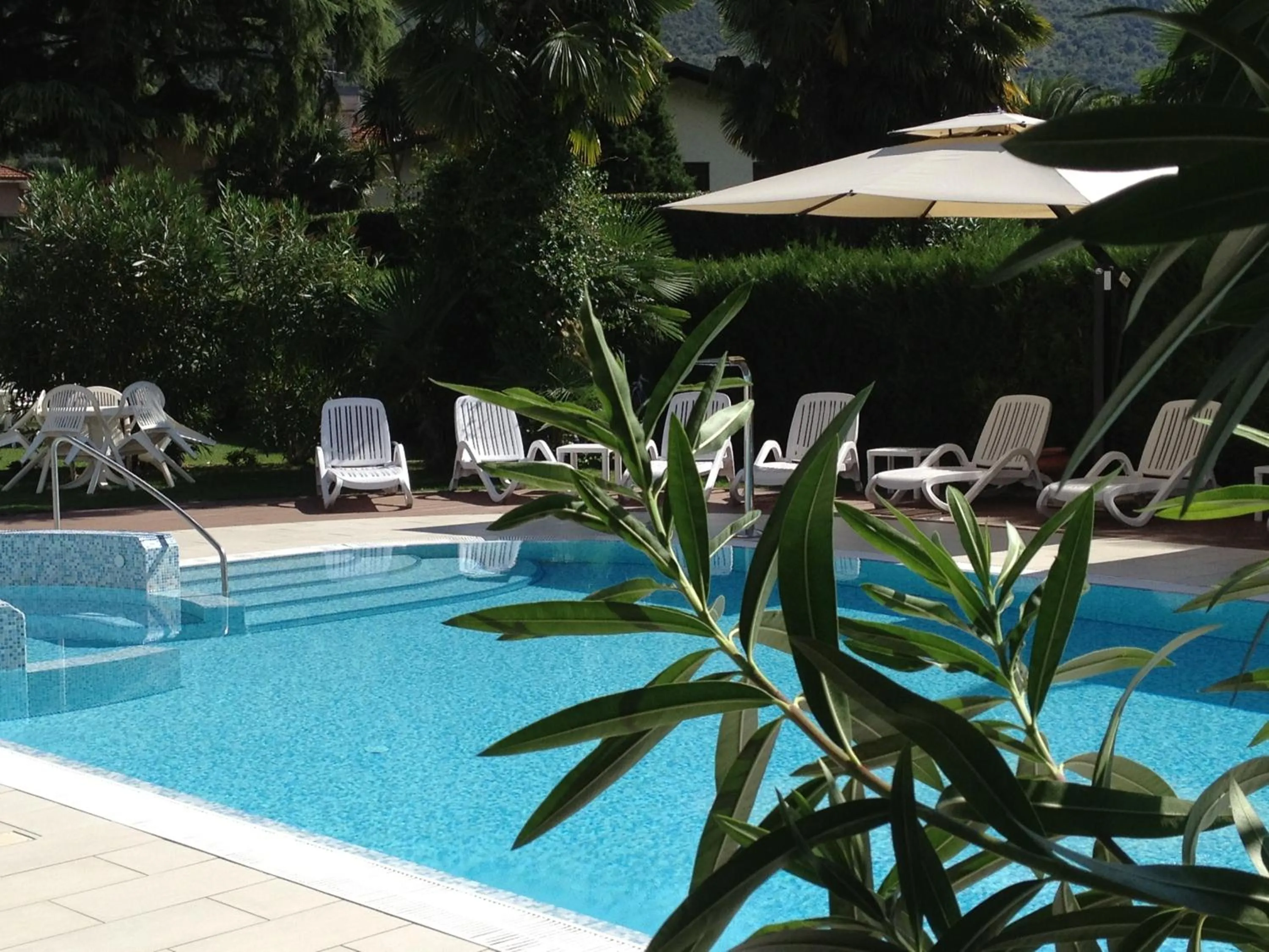 Garden in Hotel Villa Rosa