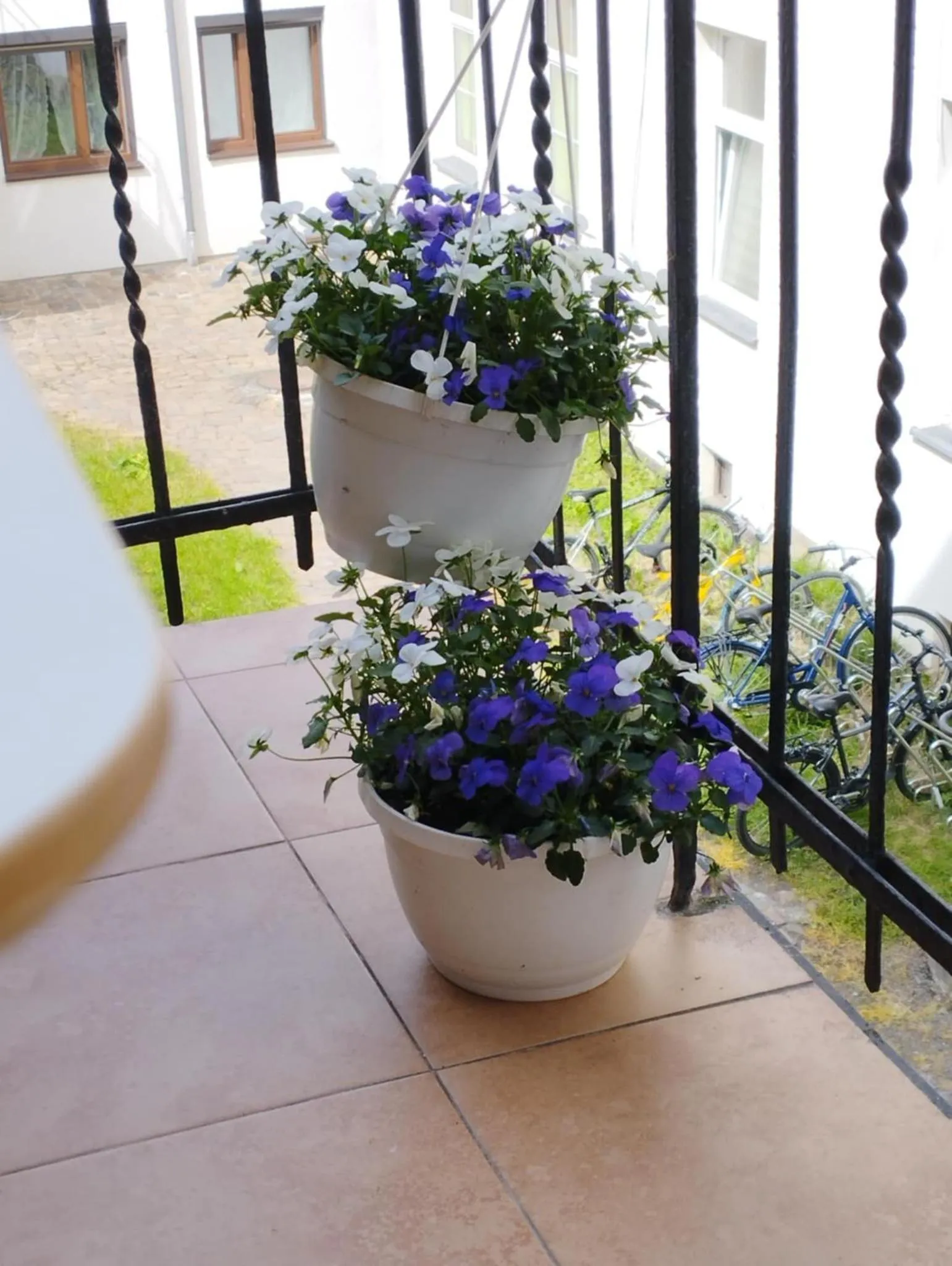 View (from property/room) in Angel House Aparthotel