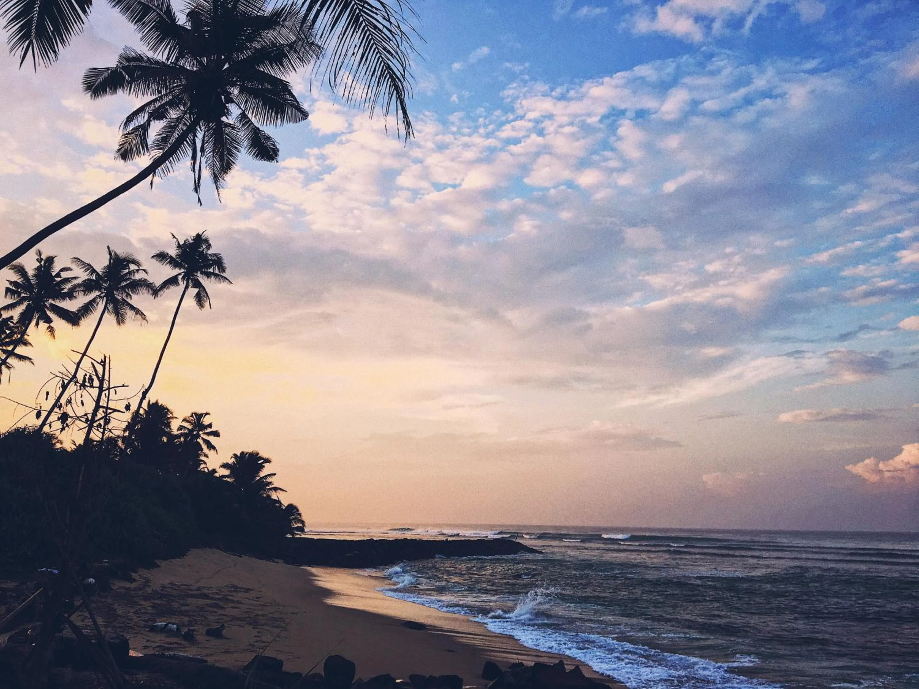 Beach in The Swiss Lankan