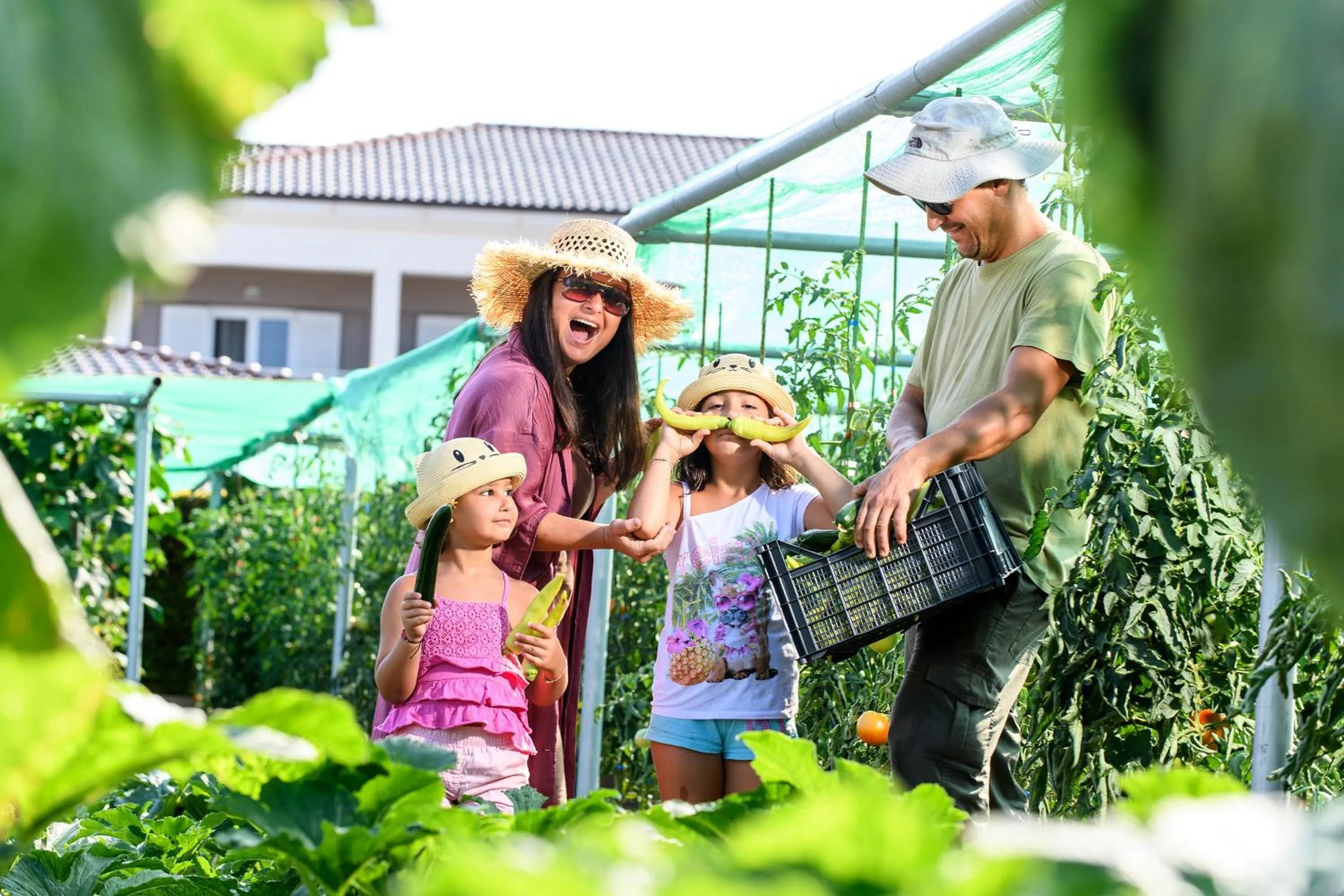 Summer in Alexandra Beach Spa Resort