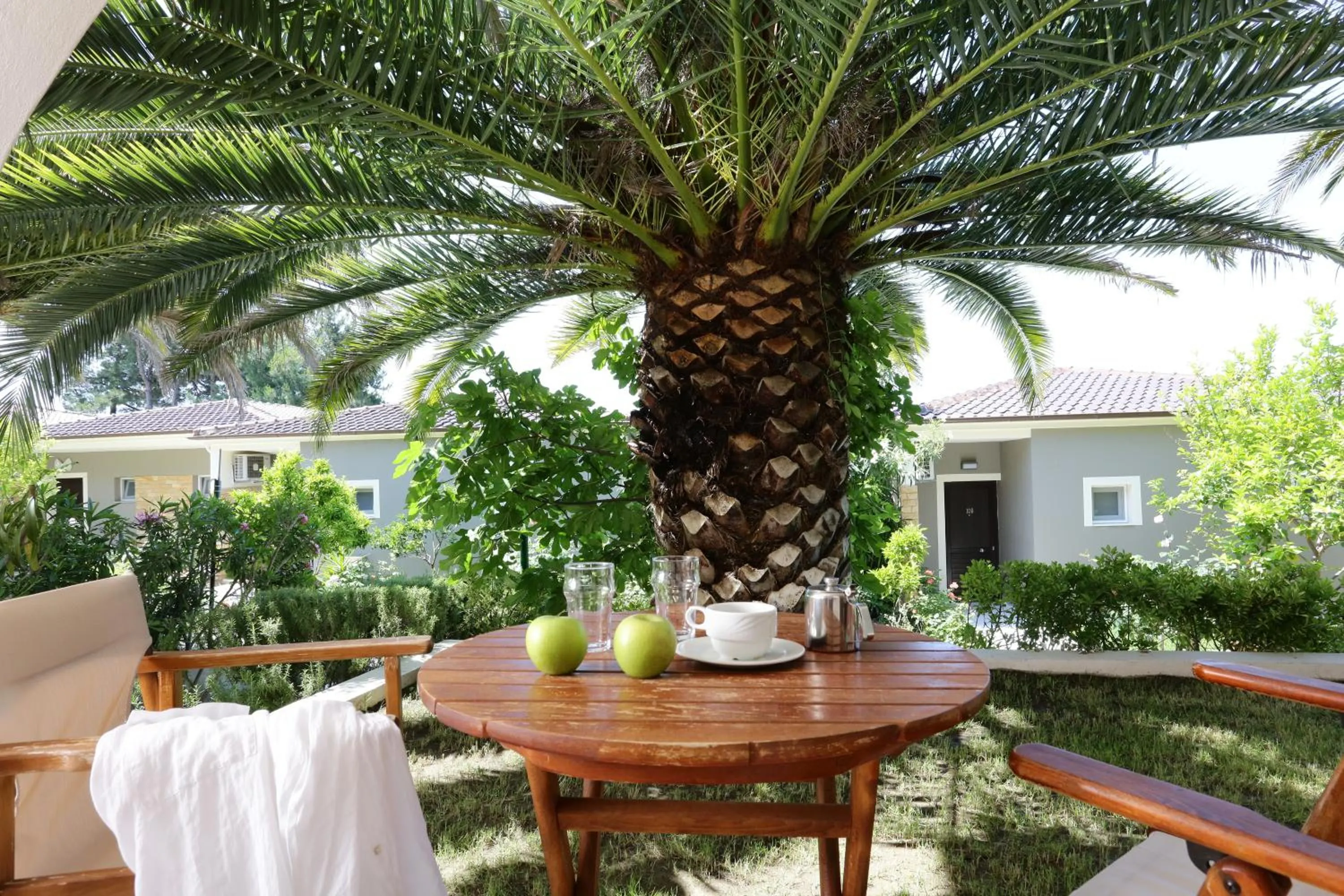 Food in Alexandra Beach Spa Resort