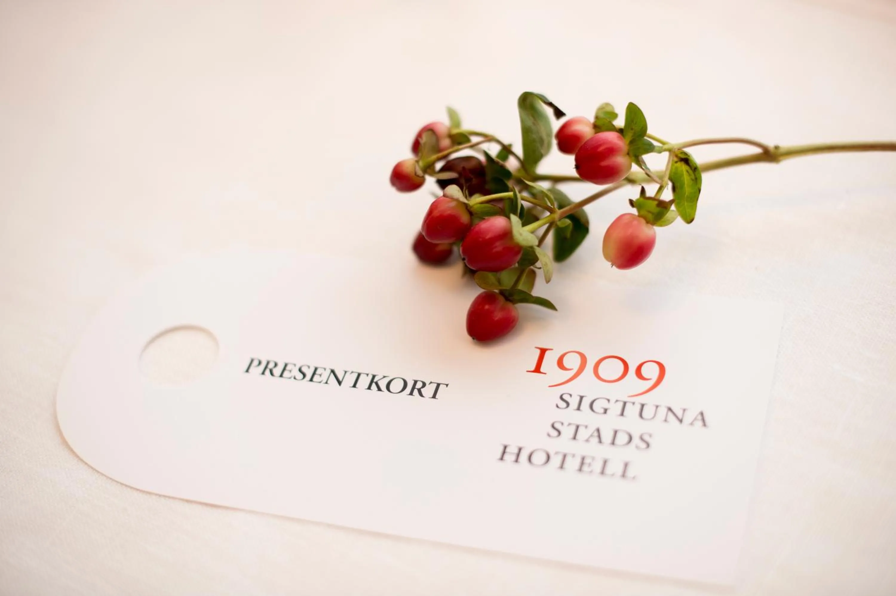 On-site shops in 1909 Sigtuna Stads Hotell