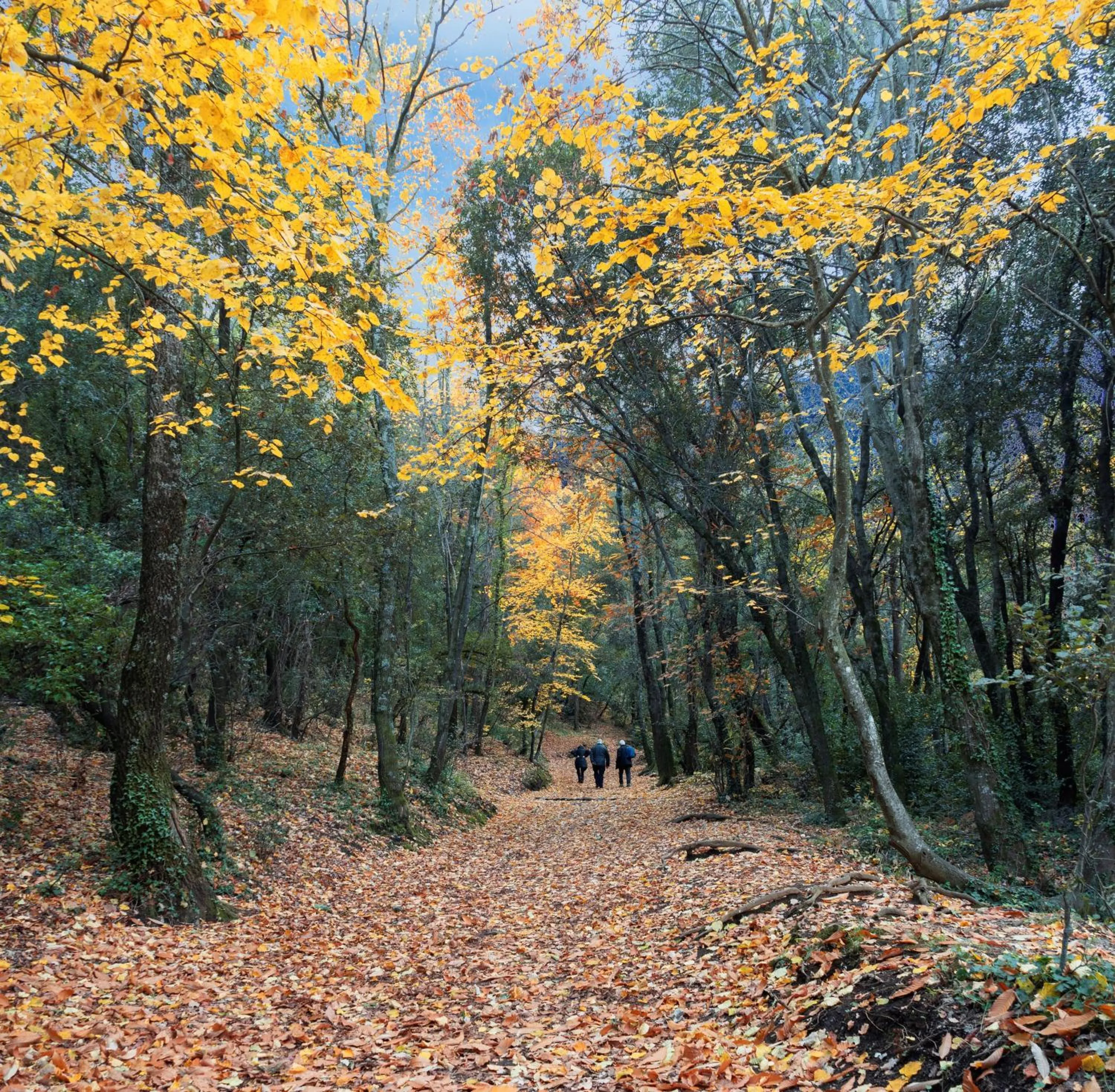 Nearby landmark in Rincón de piedra BCN