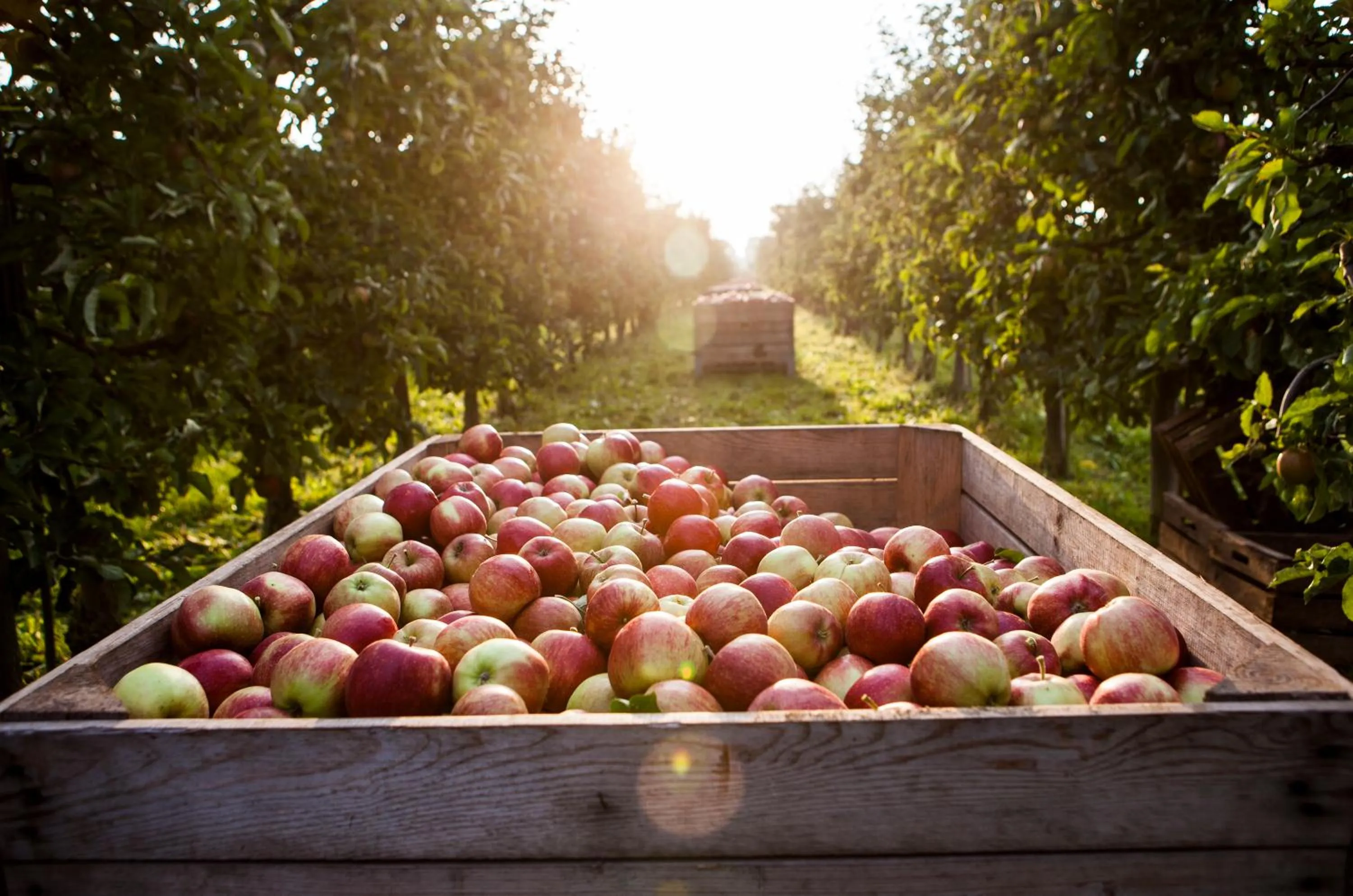 Nearby landmark in Hotel Navigare