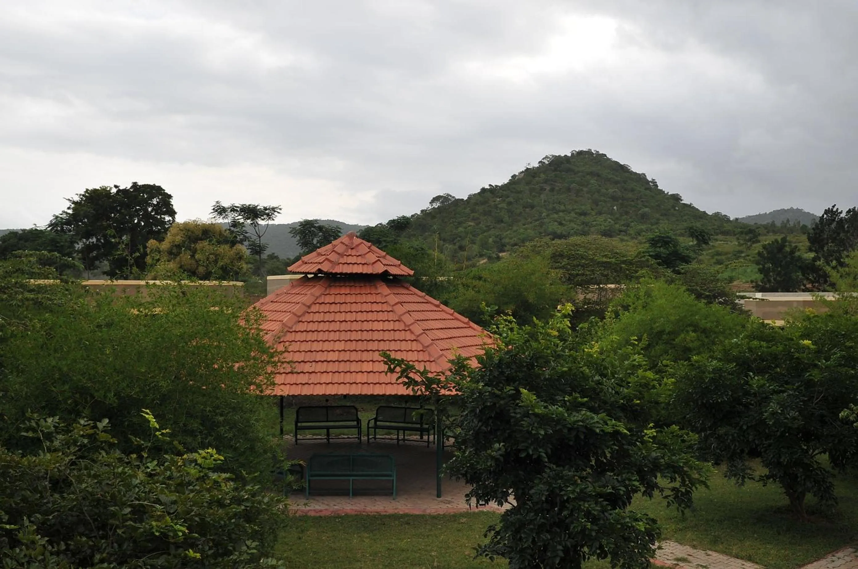 Activities in MC Resort Wildlife Resort Bandipur