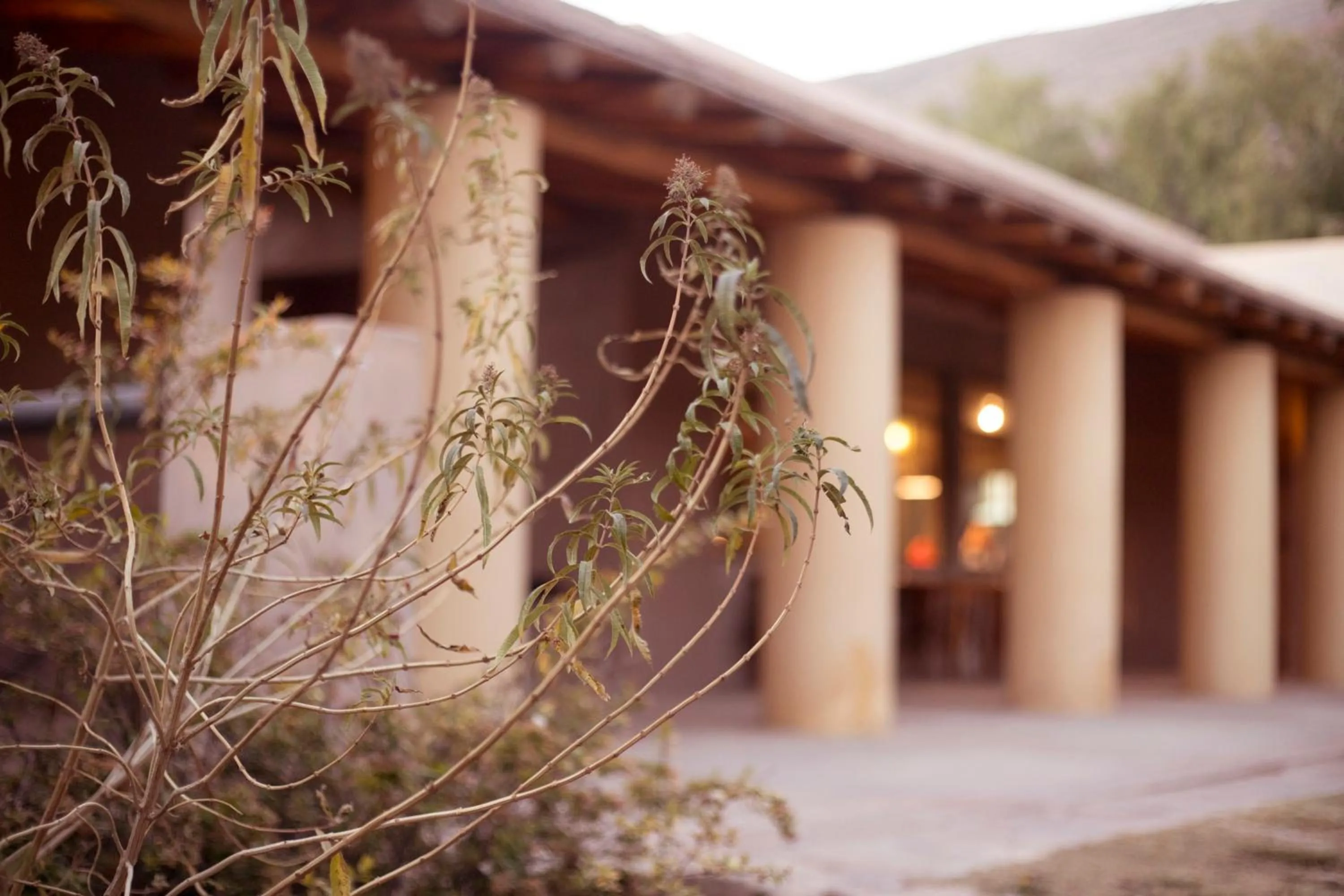 Property building in Patio Alto