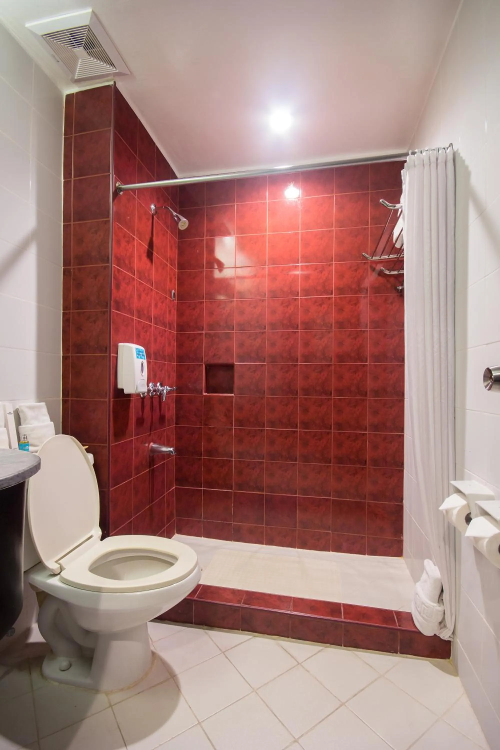 Bathroom in Microtel by Wyndham Eagle Ridge