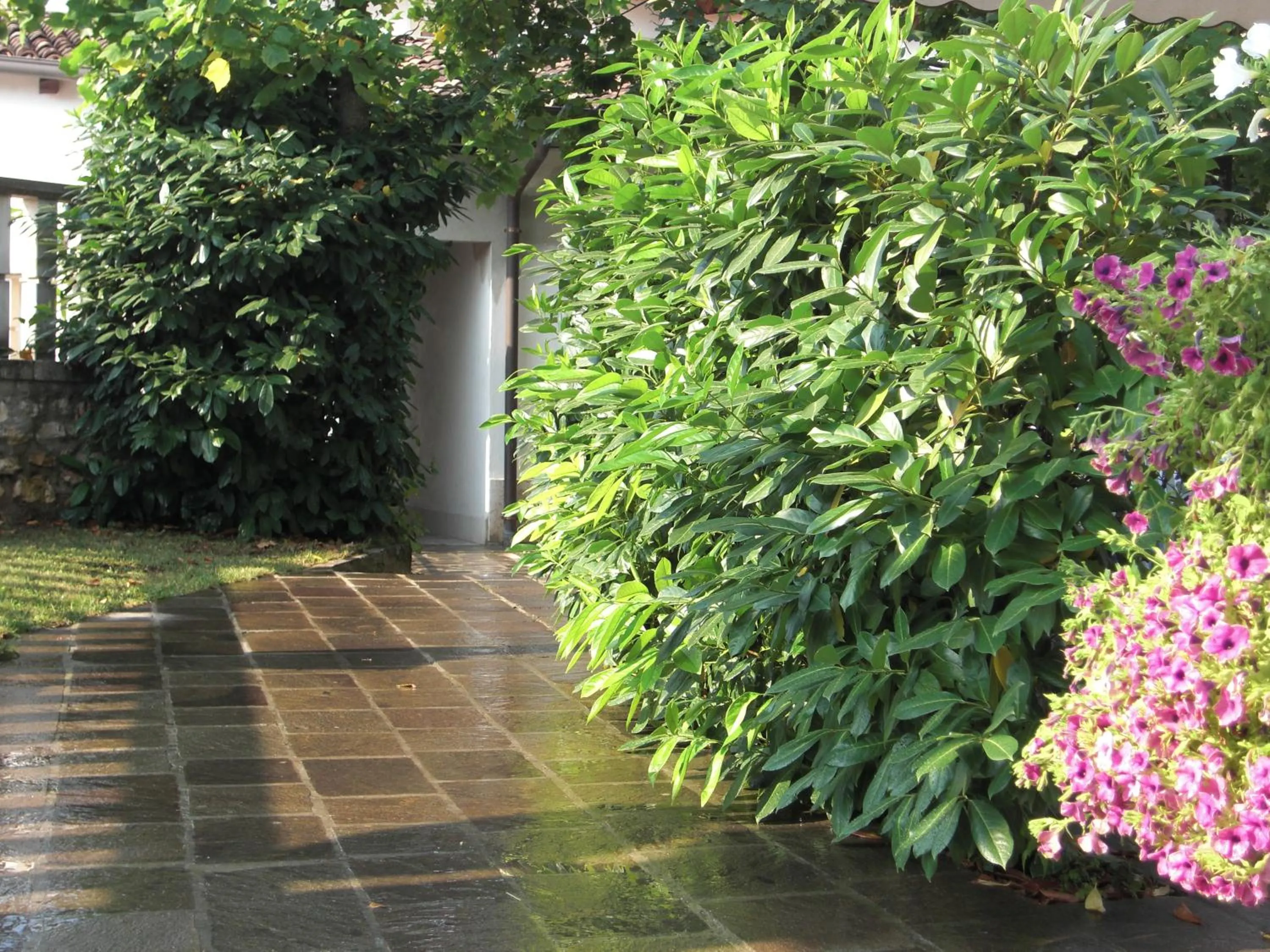 Other in Albergo Grobberio