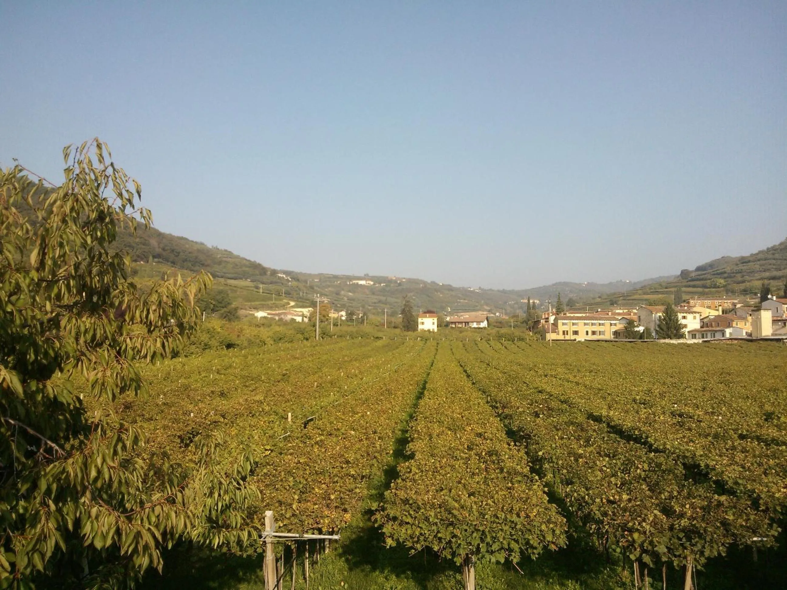 View (from property/room) in Albergo Grobberio