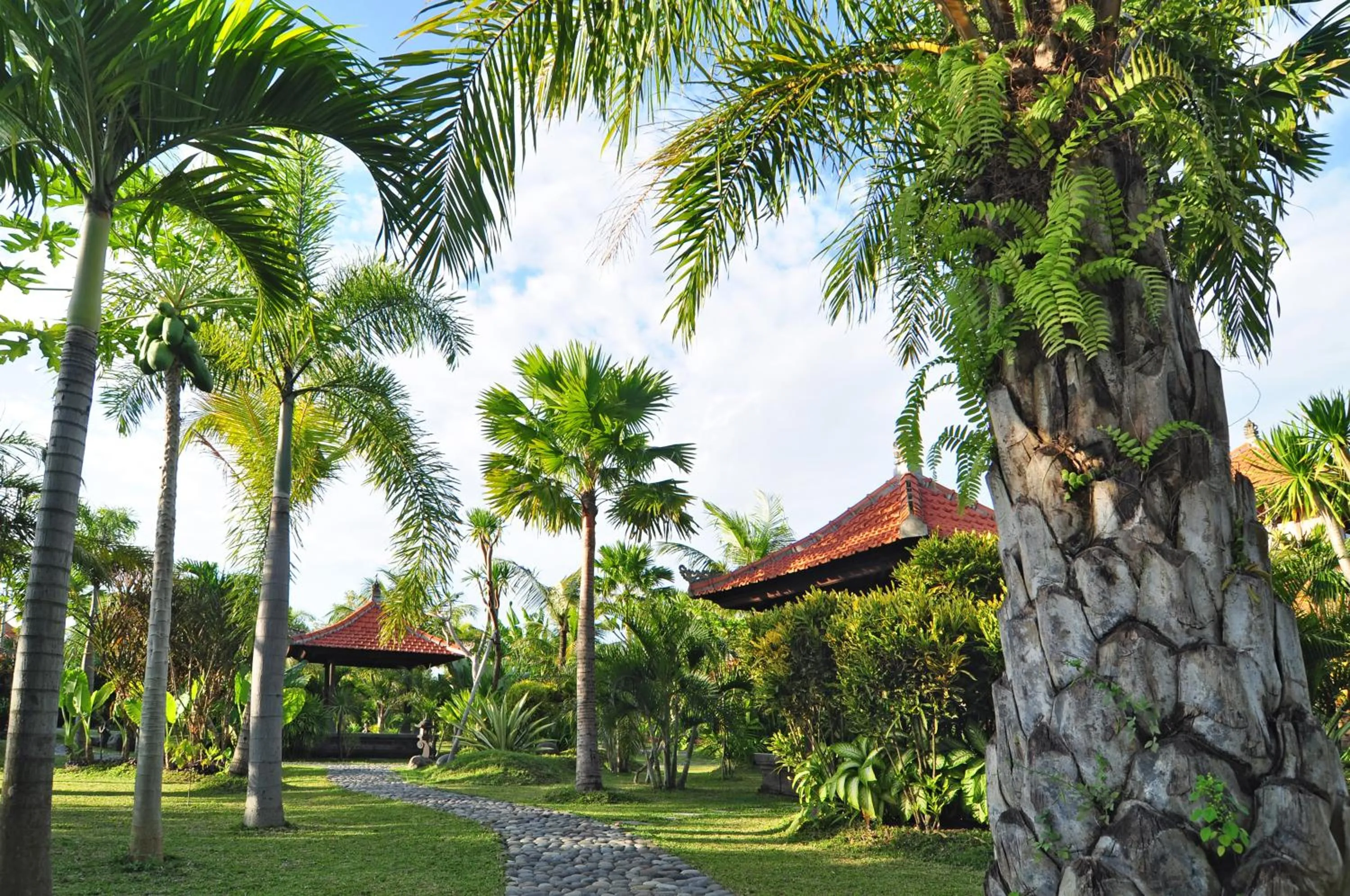 Garden in Bali Aroma Exclusive Villas