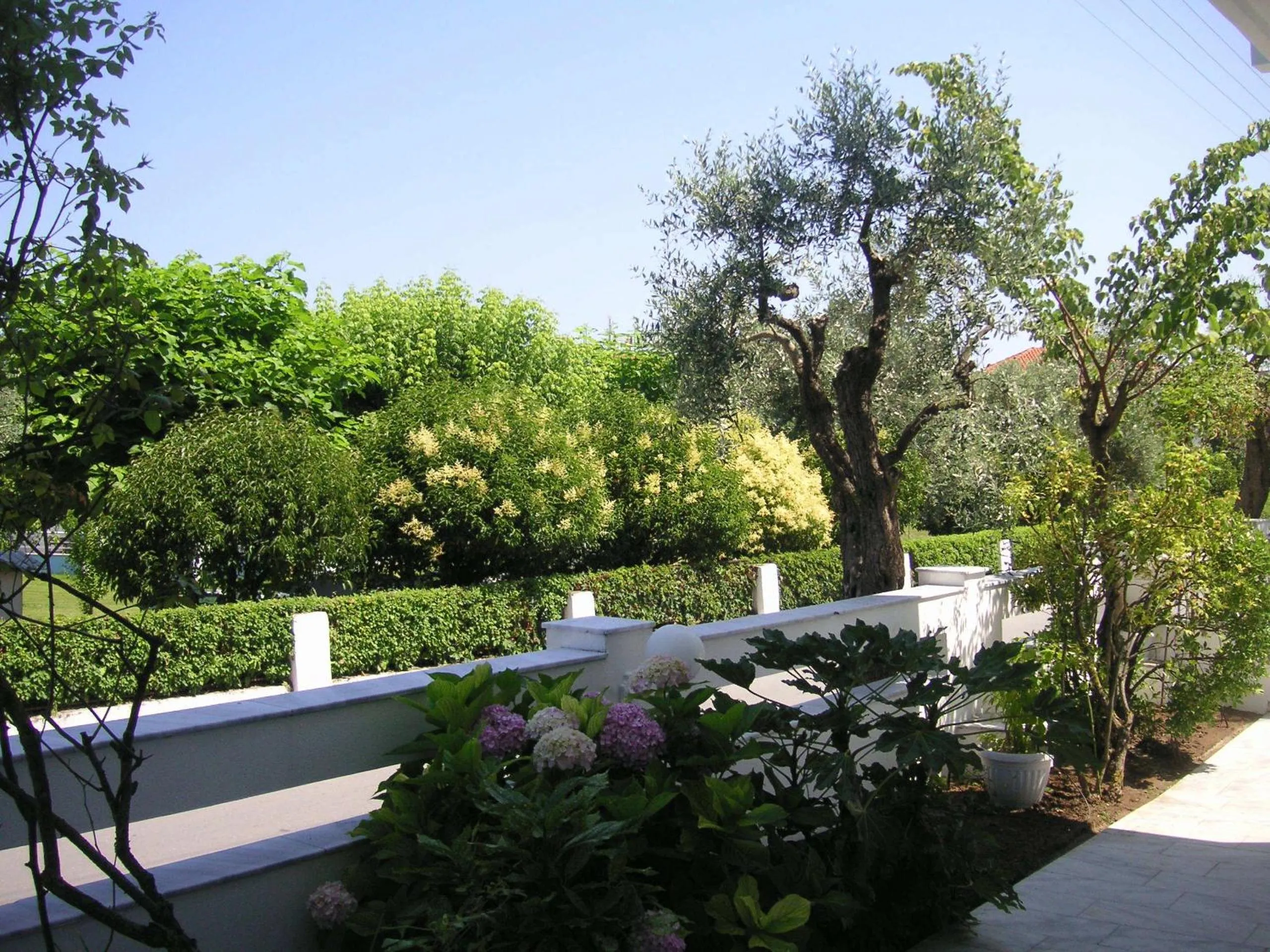 Garden in Danae Hotel