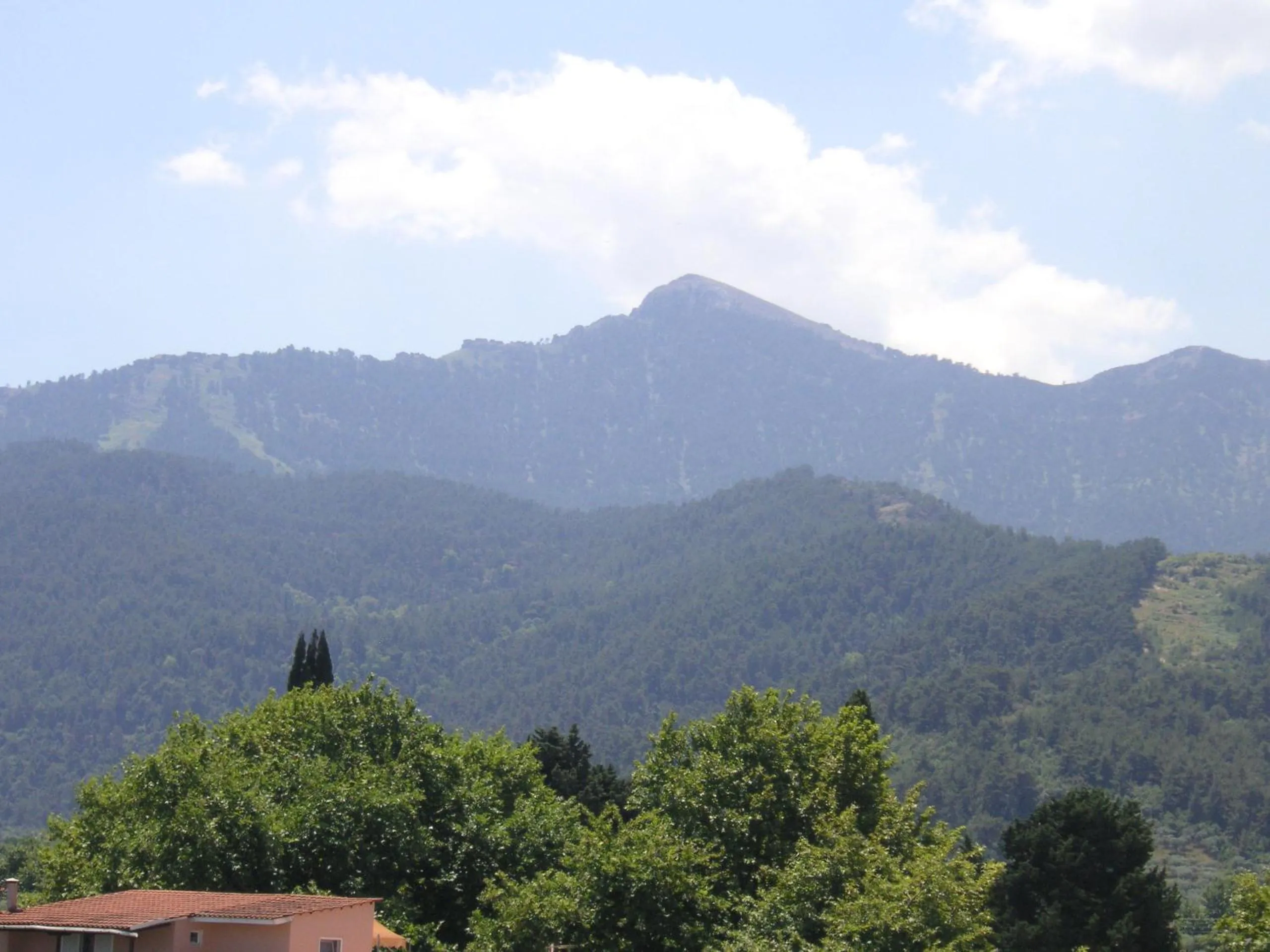 Area and facilities in Danae Hotel