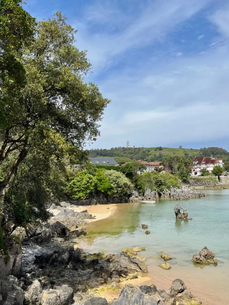 Garden in Hotel Olimpo