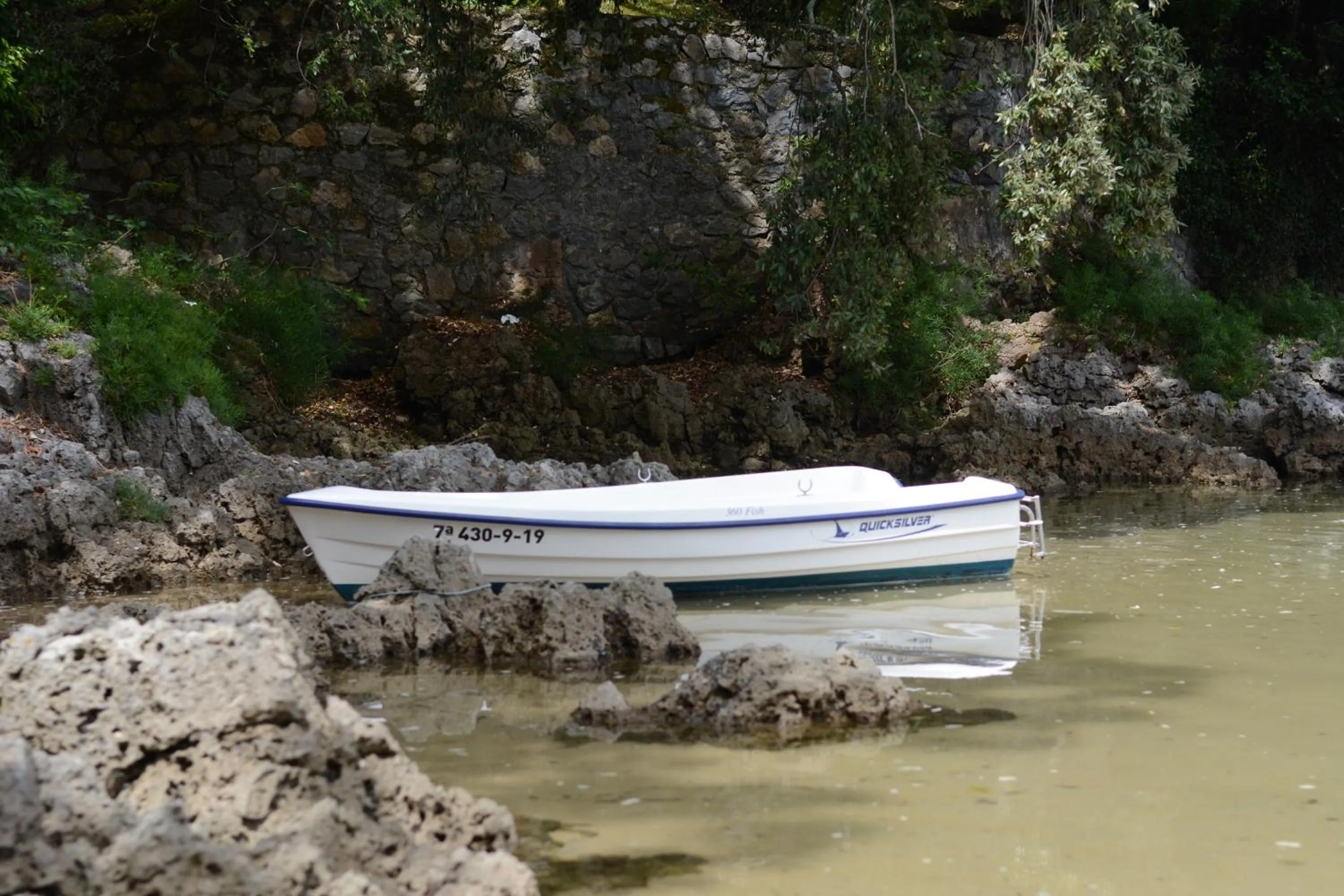 Garden in Hotel Olimpo