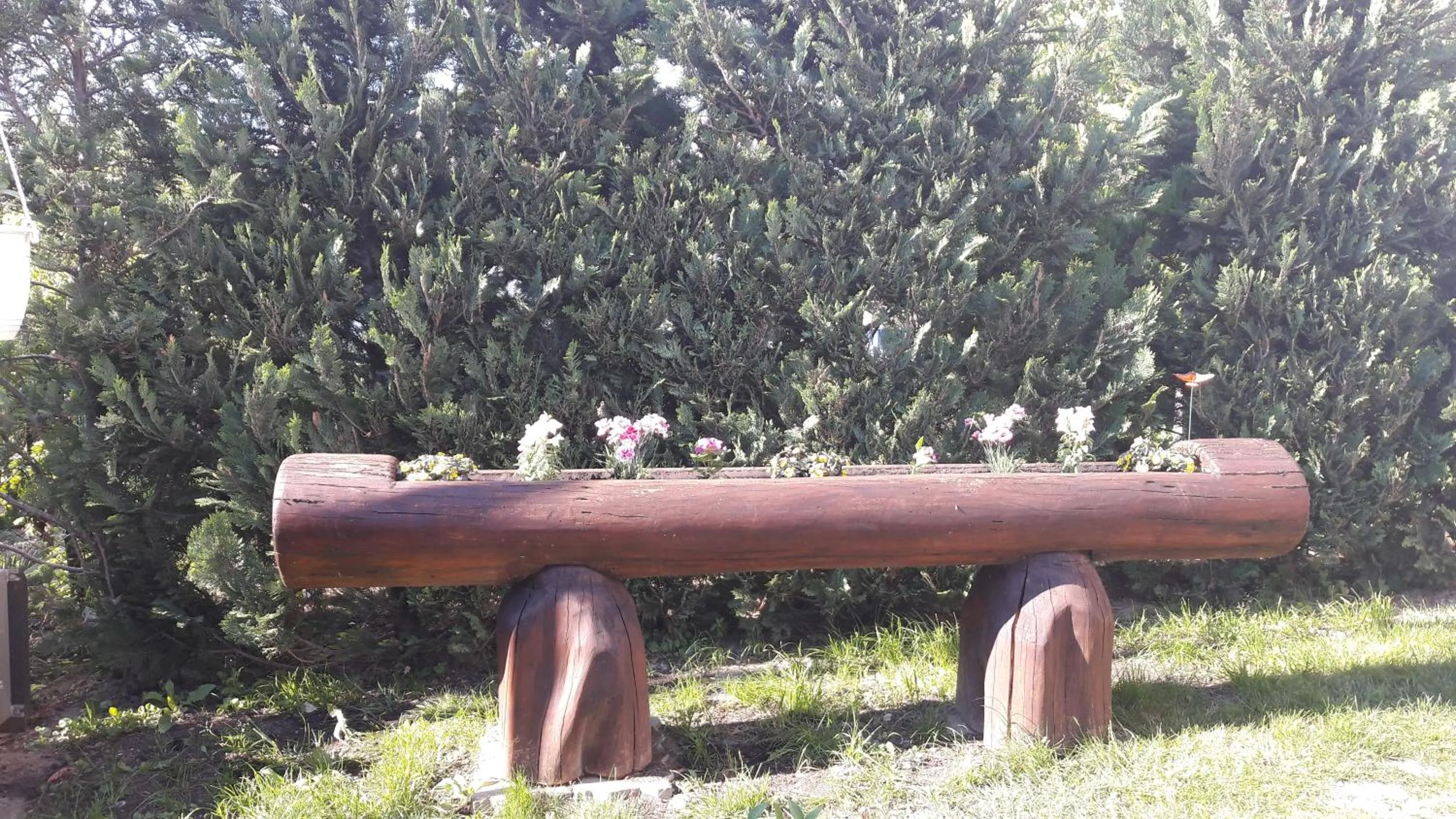 Garden in Szalóky Apartmanház