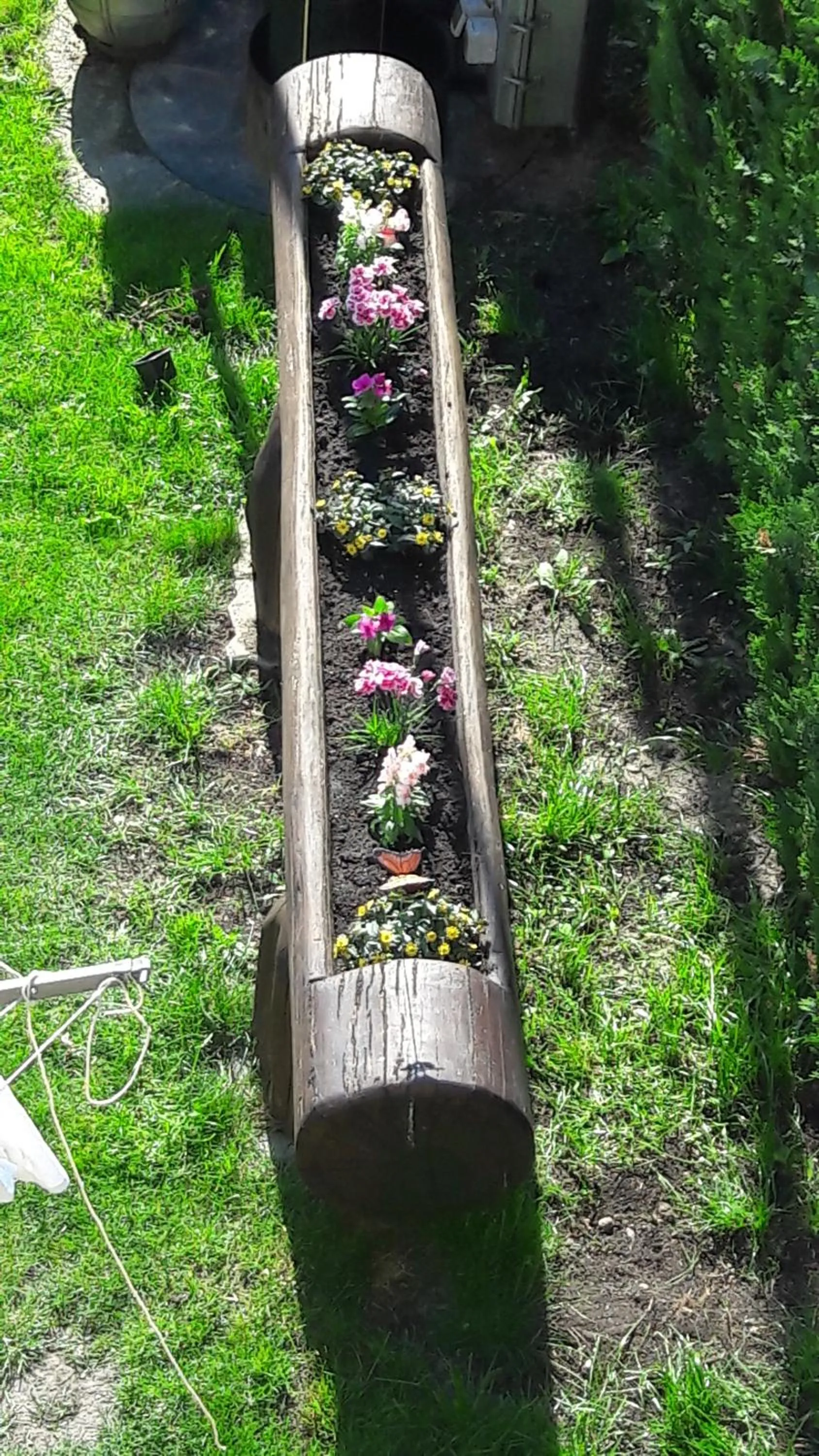 Garden in Szalóky Apartmanház