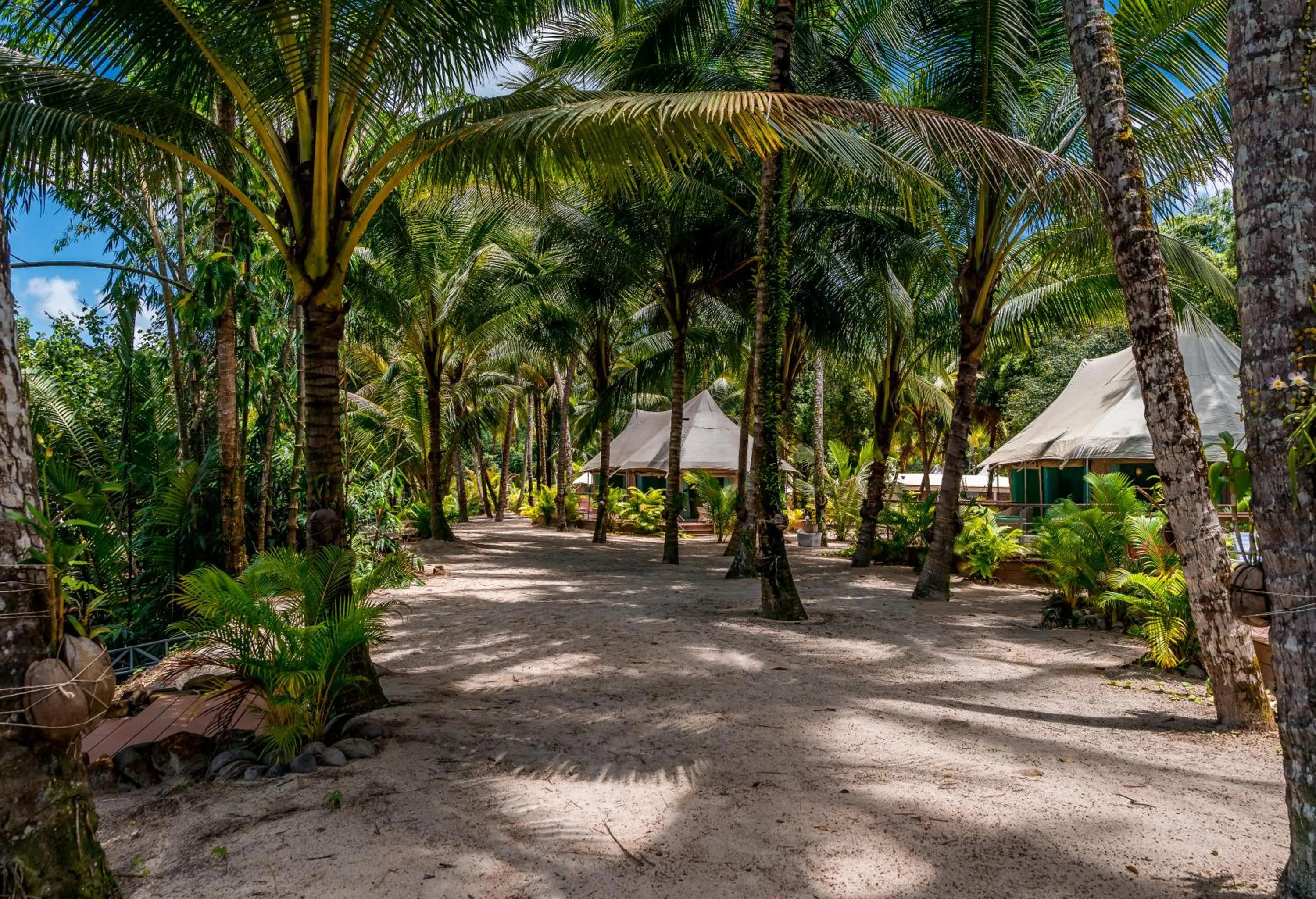 Day in Canvas & Orchids Retreat