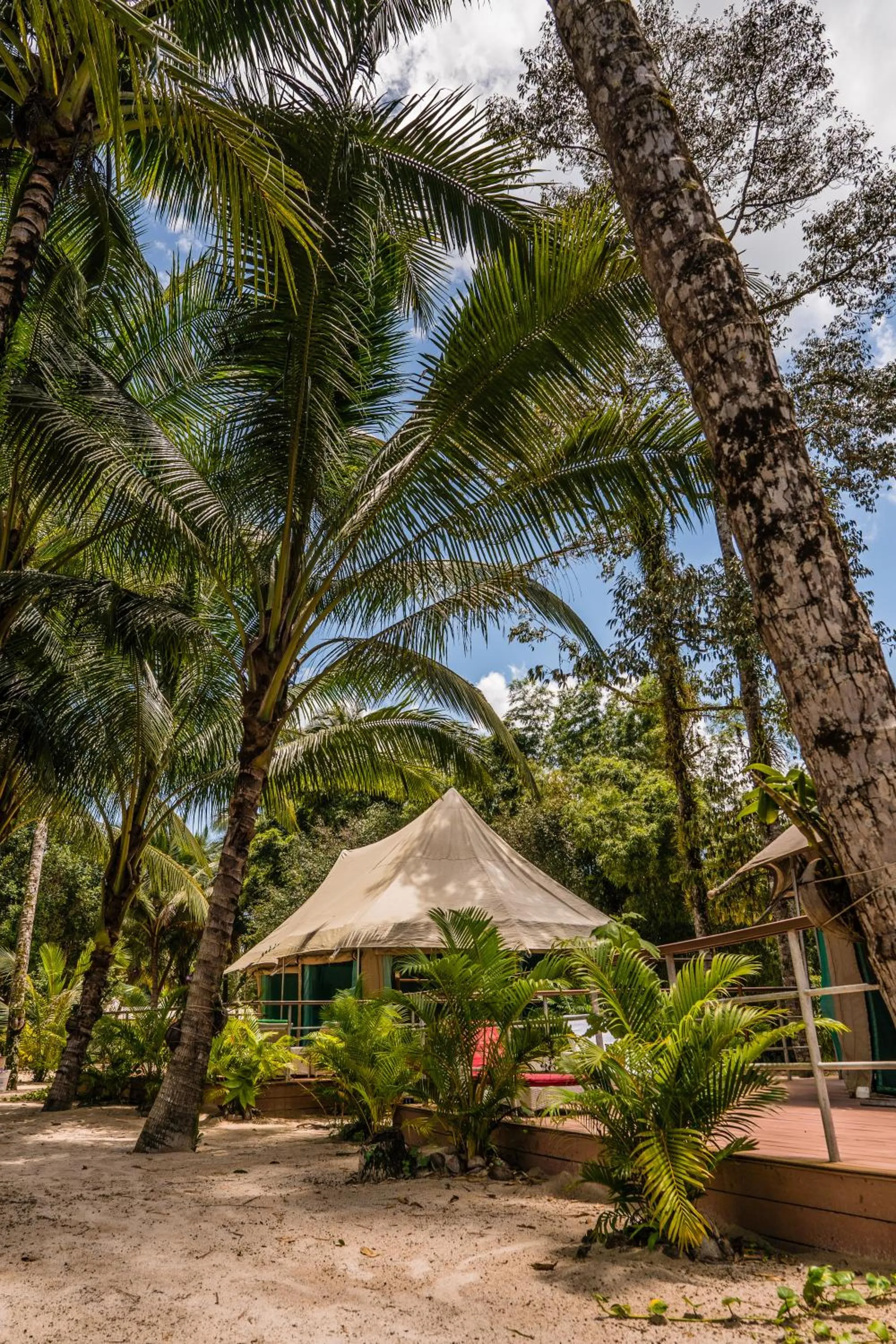 Day in Canvas & Orchids Retreat