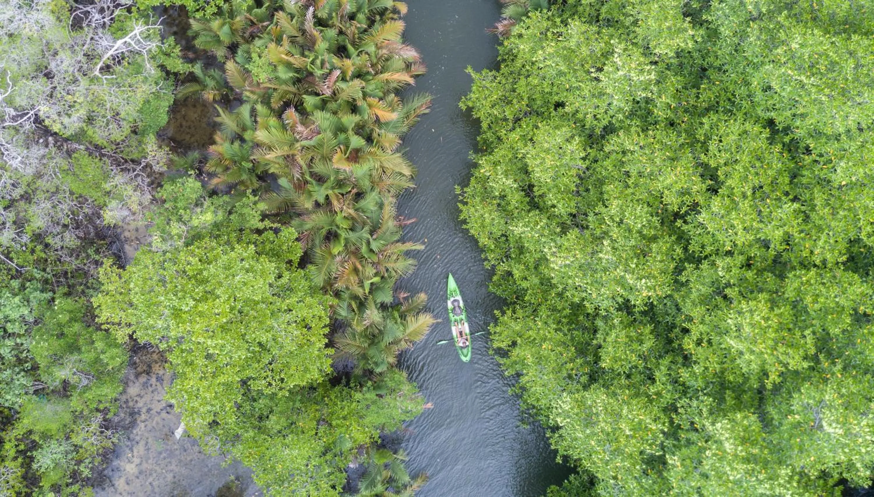 Natural landscape in Canvas & Orchids Retreat