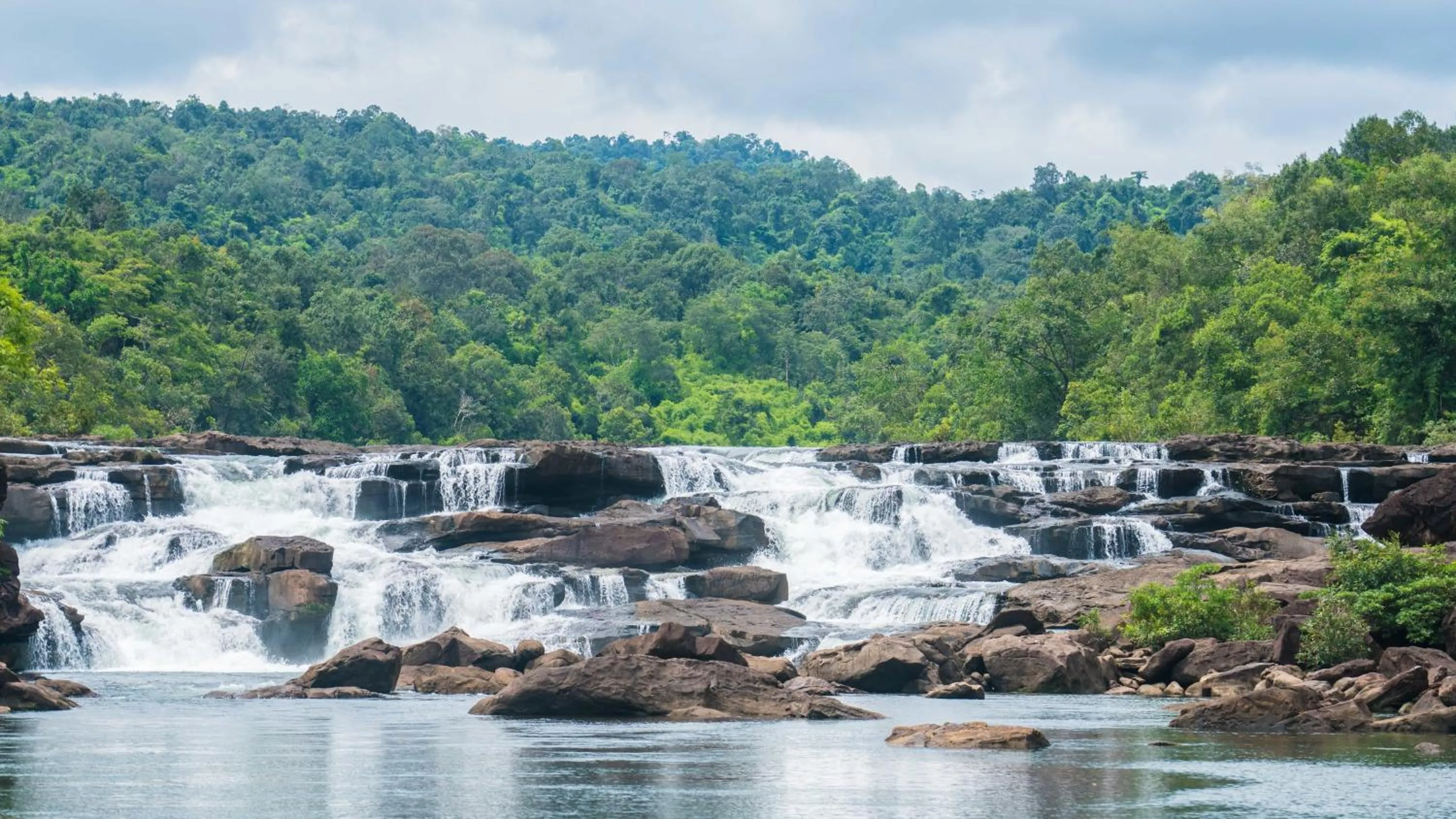 Natural landscape in Canvas & Orchids Retreat