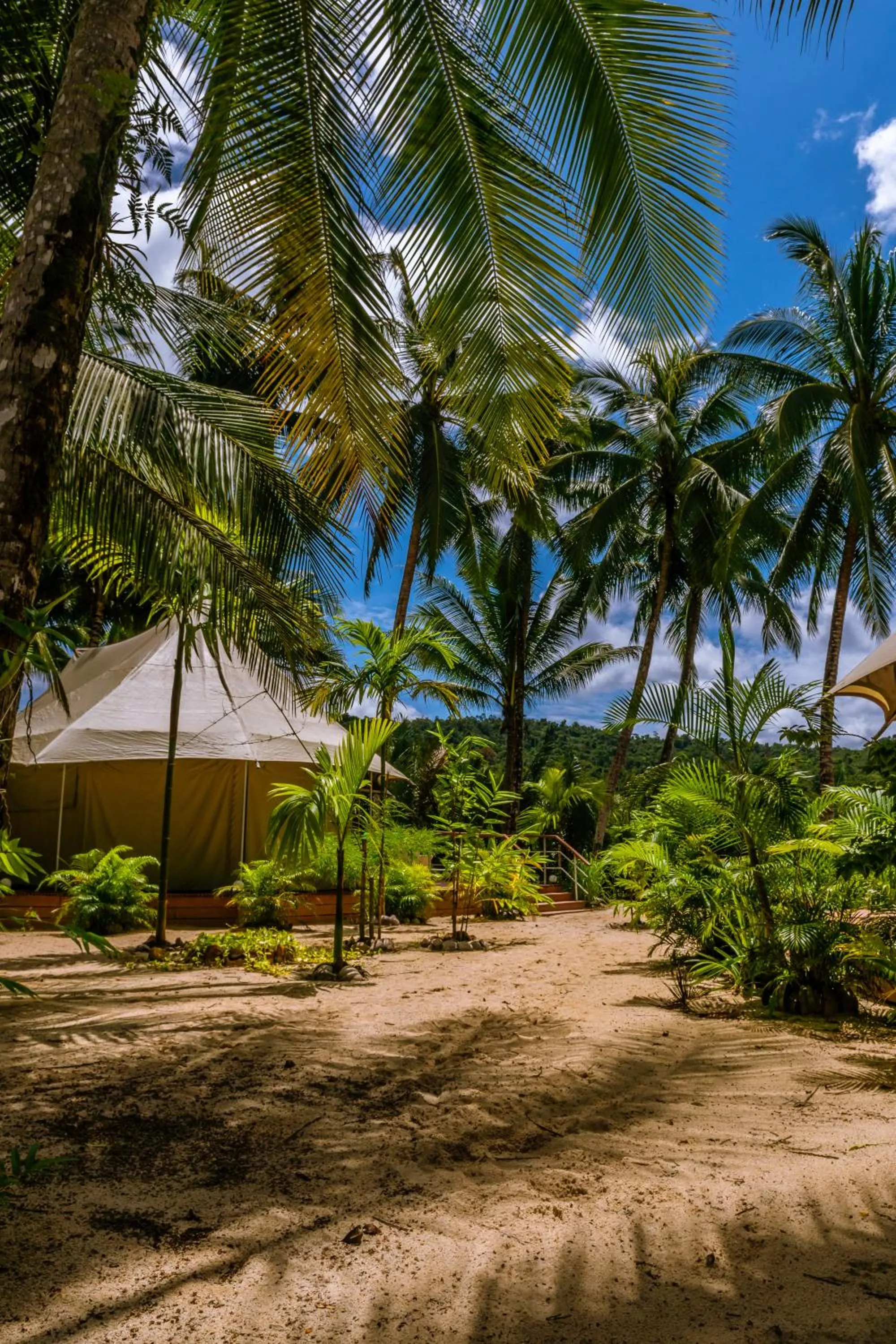 Natural landscape in Canvas & Orchids Retreat